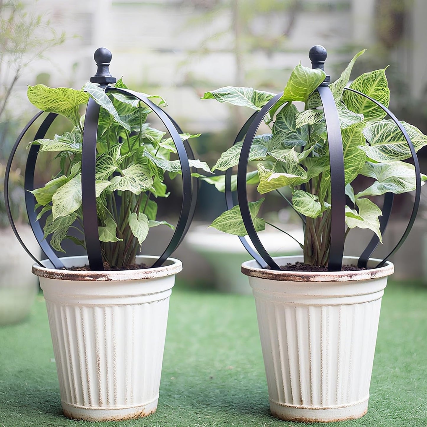 2-Piece Metal Garden Trellis Obelisk for Climbing Plants – 12.6 x 17.5 Inches - Stylish Topiary Frame for Outdoor Roses and Potted Plants – Durable Powder Coated Finish