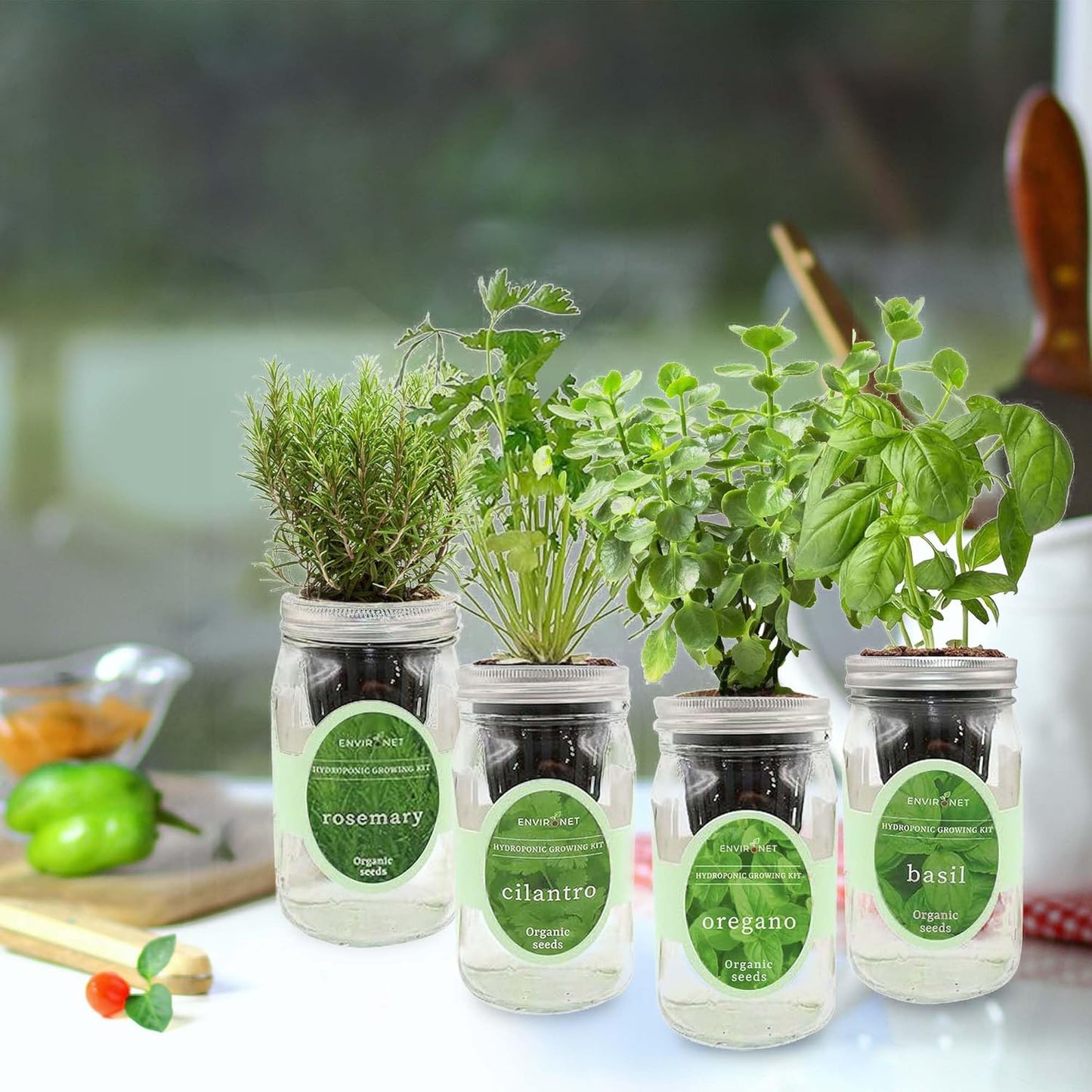 Hydroponic Mason Jar Organic Herb Seed Starter Kits - Mediterranean Herb Mix Growing Kits, Windowsill Herb Garden, Gardening Gift (Rosemary, Cilantro, Oregano, Basil)