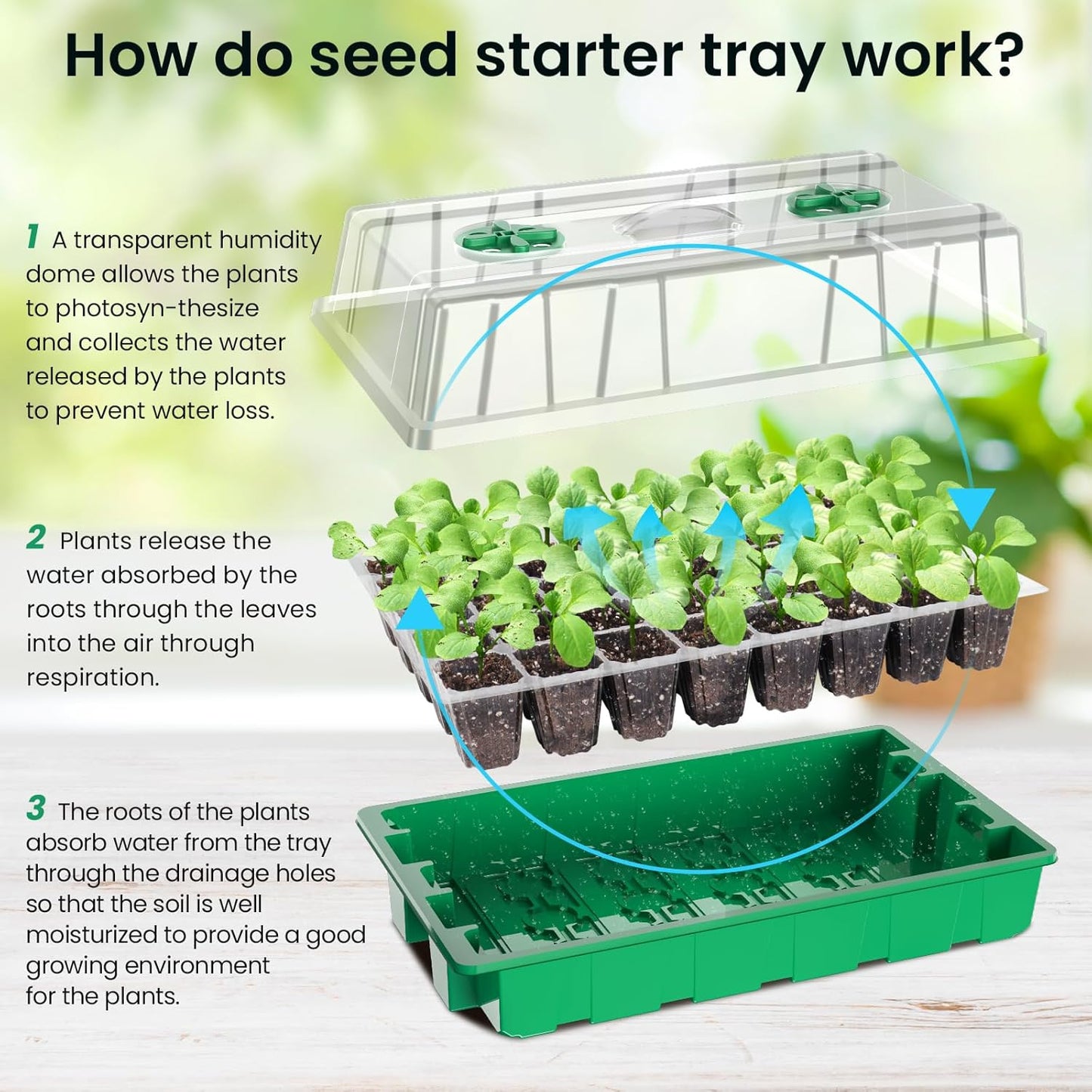 MIXC Seed Starter Tray with Lights, 2 Packs Mini Propagator Plant Grow Kit Greenhouse with Humidity Vented Domes and Base for Seeds Starting, Green