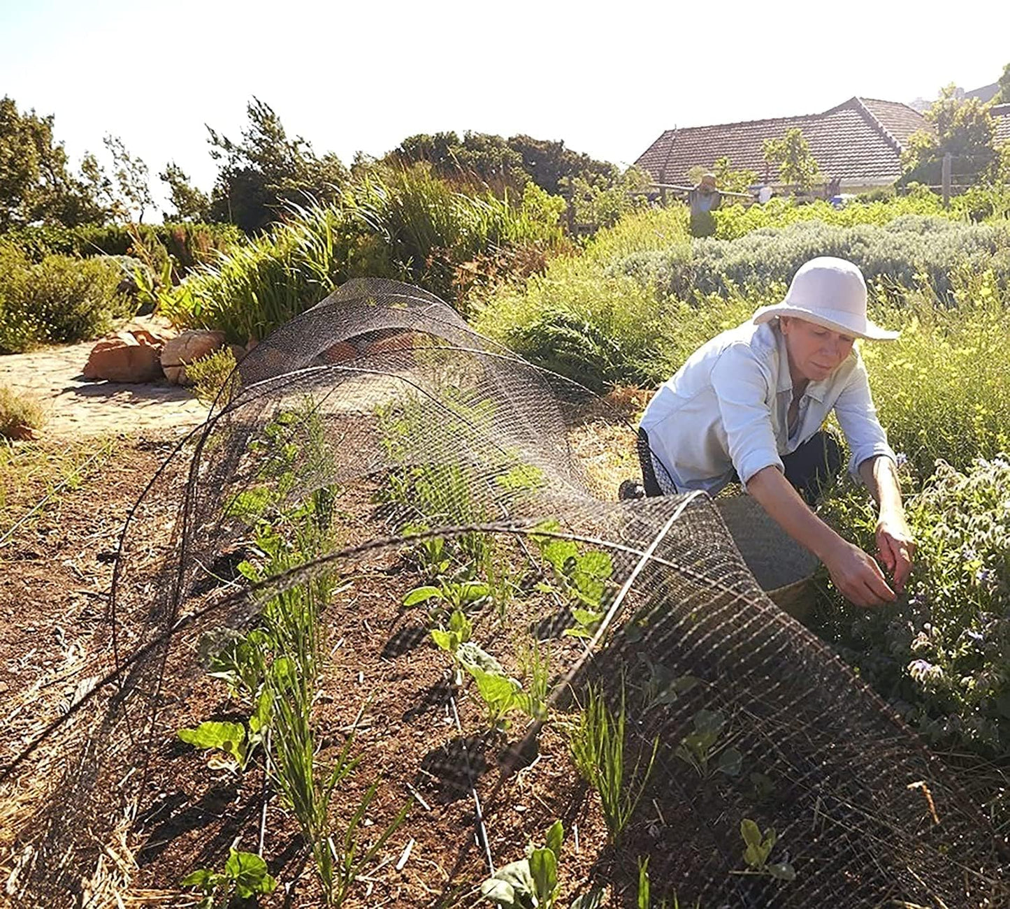CandyHome Bird Netting for Garden, 13Ft x 33Ft Reusable Garden Netting Plants Barrier, Plant Mesh Net Protect Fruit Tree Seedlings Plants from Birds, Cicadas, Rodents, Black