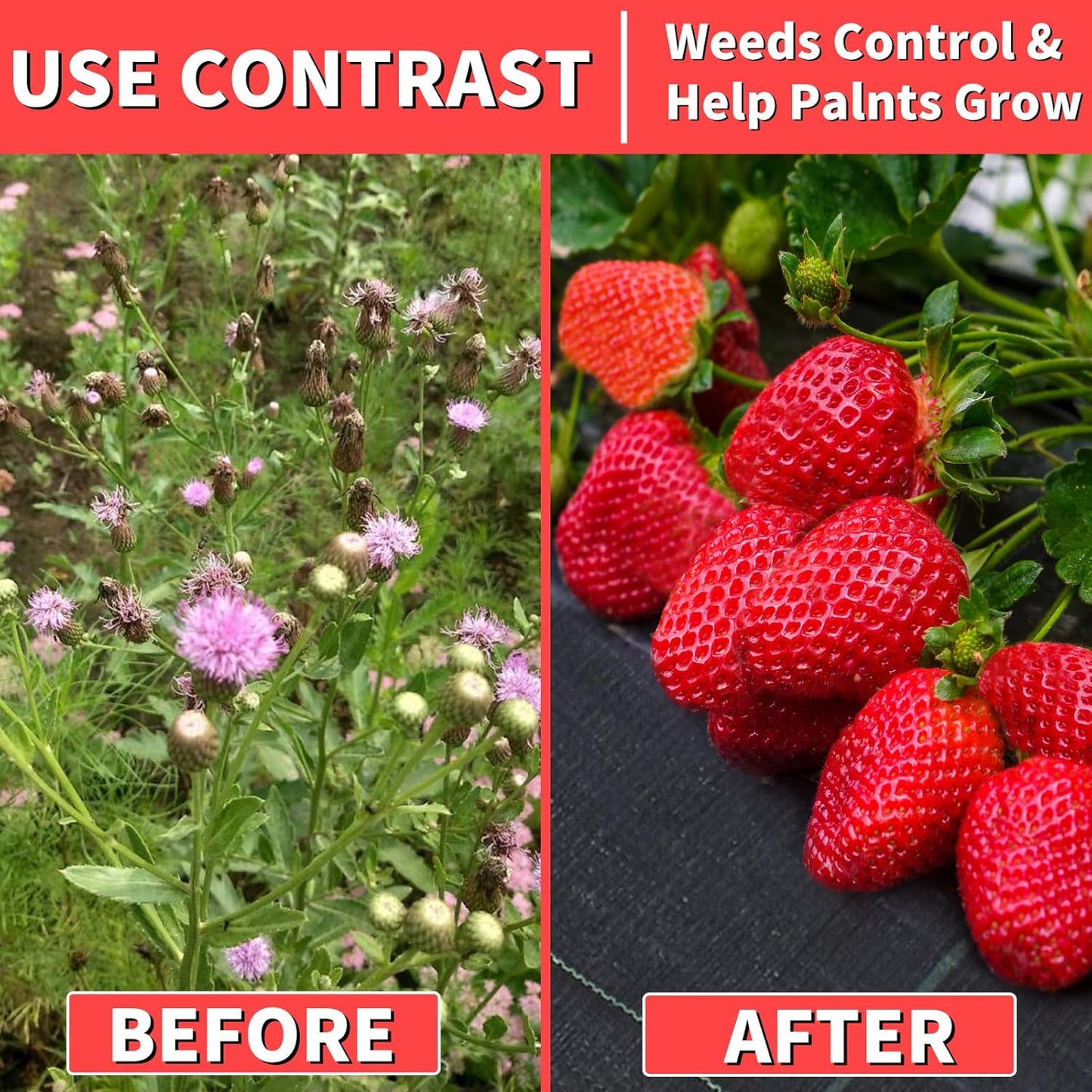 3ft x100ft Landscape Fabric -Heavy Duty Weed Barrier Fabric for Landscaping, Weed Blocker Cloth,Geotextile Fabric for Garden, Driveway & Ground Cover, Garden Weed Mats,Grid Design