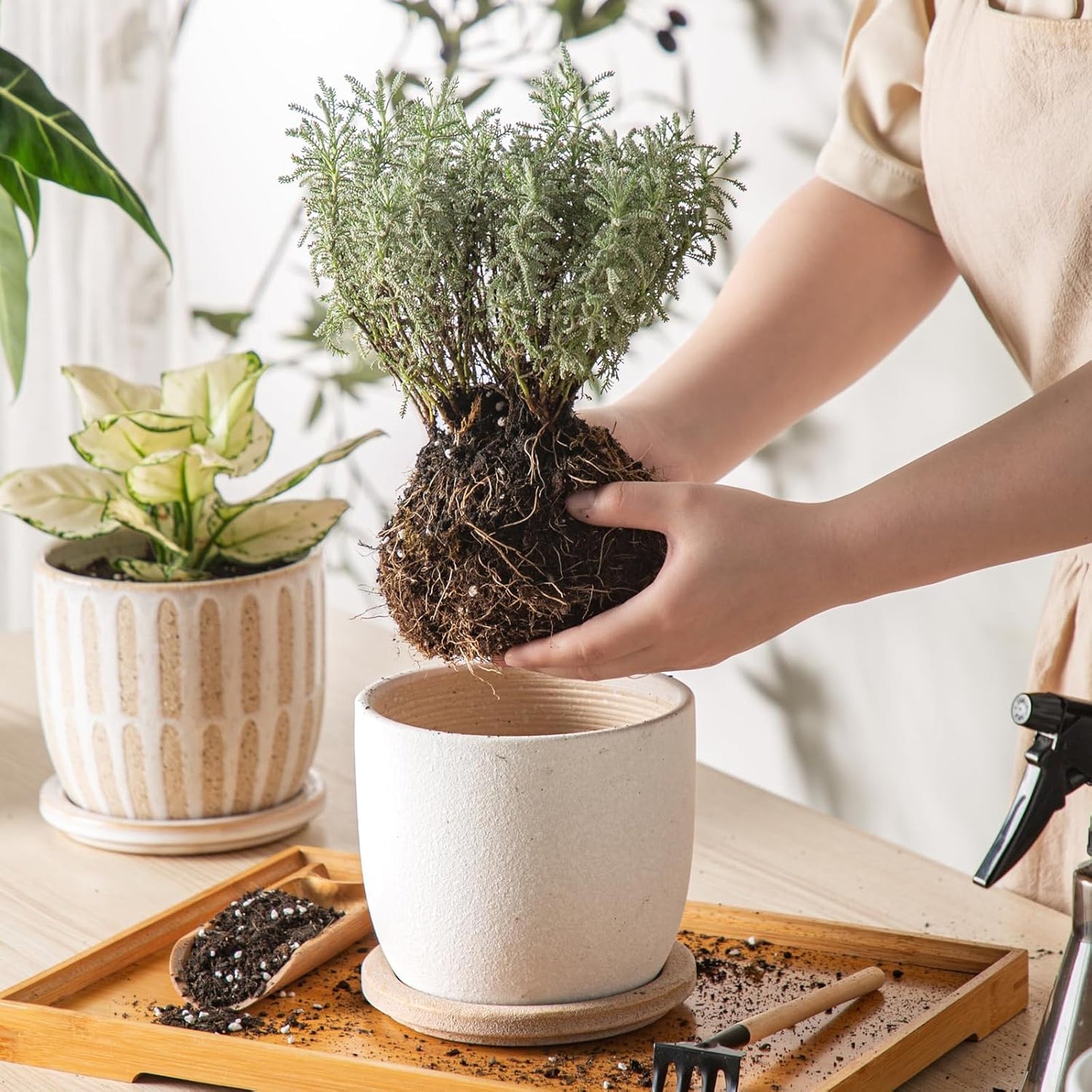 Ceramic Flower Pots Indoor-Outdoor: 5.75 Inch Planters with Drainage Holes & Saucer - Modern Decorative Plant Pots Ceramic for Home Gardeners (White)