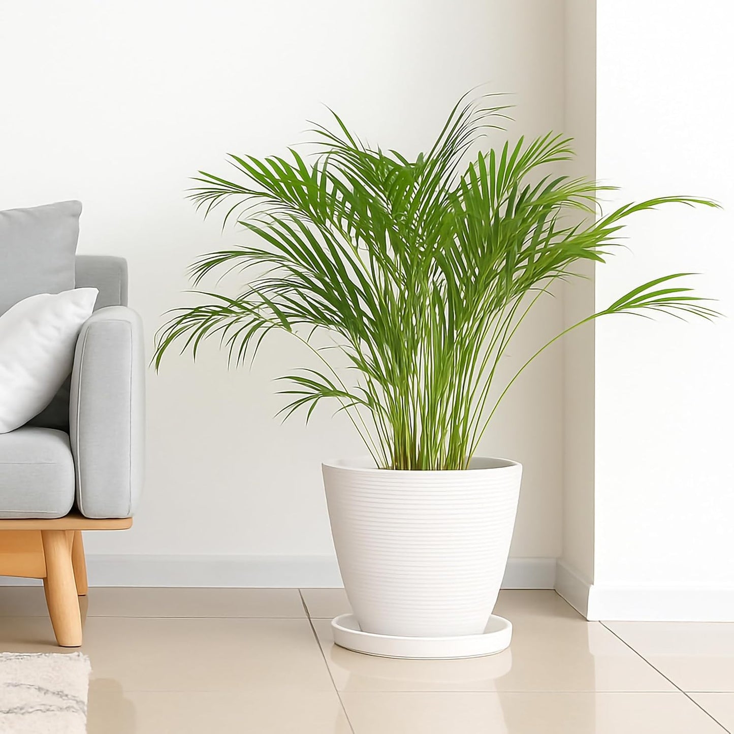 D'vine Dev Modern Round 10.4 Inch Ceramic Plant Pot Saucer, Planter Pot Drainage Tray for Indoor Plants, Matte White, 97-T-A-5