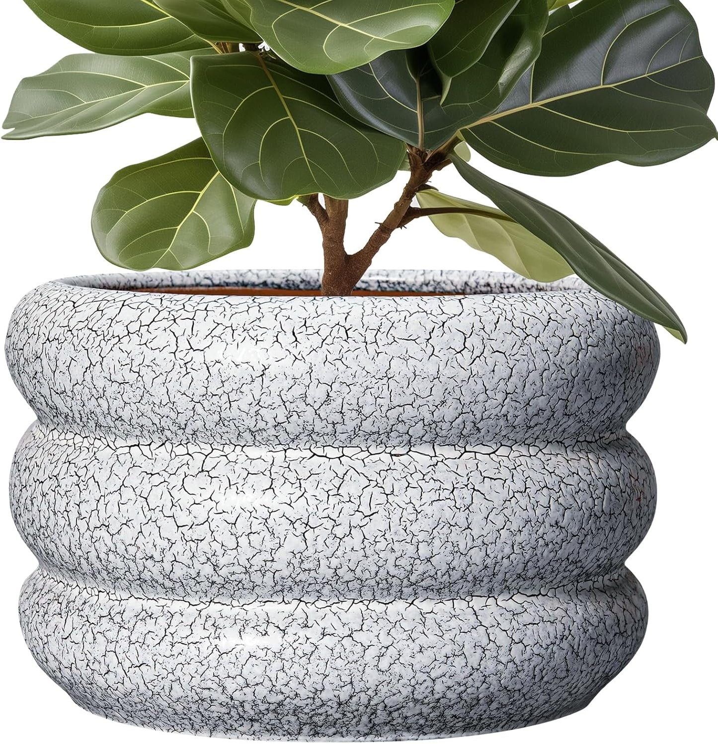 SQOWL Ceramic Plant Pots - 13.5 Inch Ceramic Planter with Drainage Hole, Large Round Planter for Indoor Plants, Modern Flower Pots Outdoor, Office Living Room Decor, Birthday Gifts, Black and White