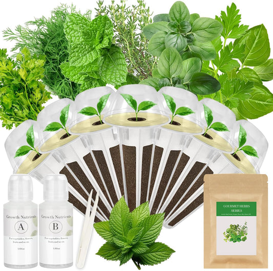 Gourmet Herb Seed Pod Kit for AeroGarden, idoo, Ahopegarden, MUFGA with Basil, Parsley, Thyme, Mint, Cilantro, Dill, Oregano - Compatible with All Hydroponics (7-Pod)