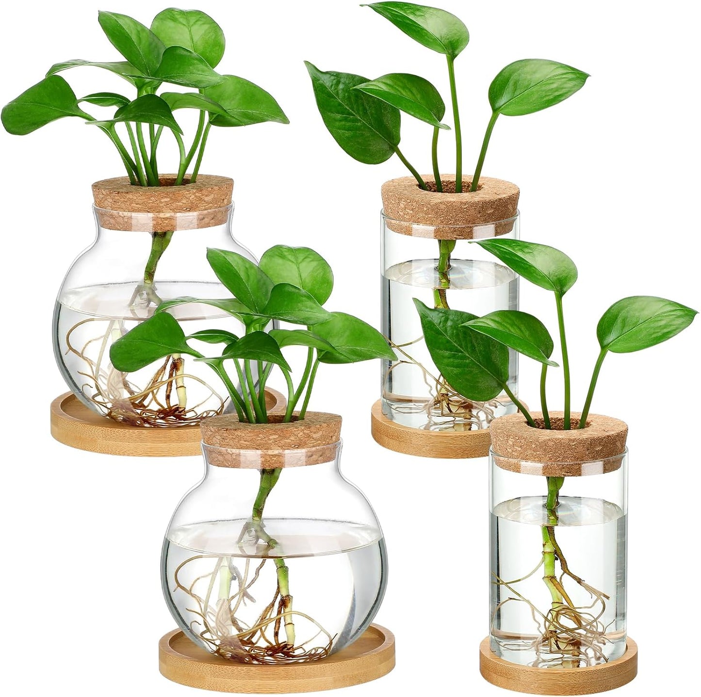 Layhit 4 Pcs Plants Propagation Stations vases Glass Planters with Wooden Lid and Bamboo Stand for Hydroponic Plants Gardening Gifts for Women Mom Home Office Tabletop Decoration(Funny Style)