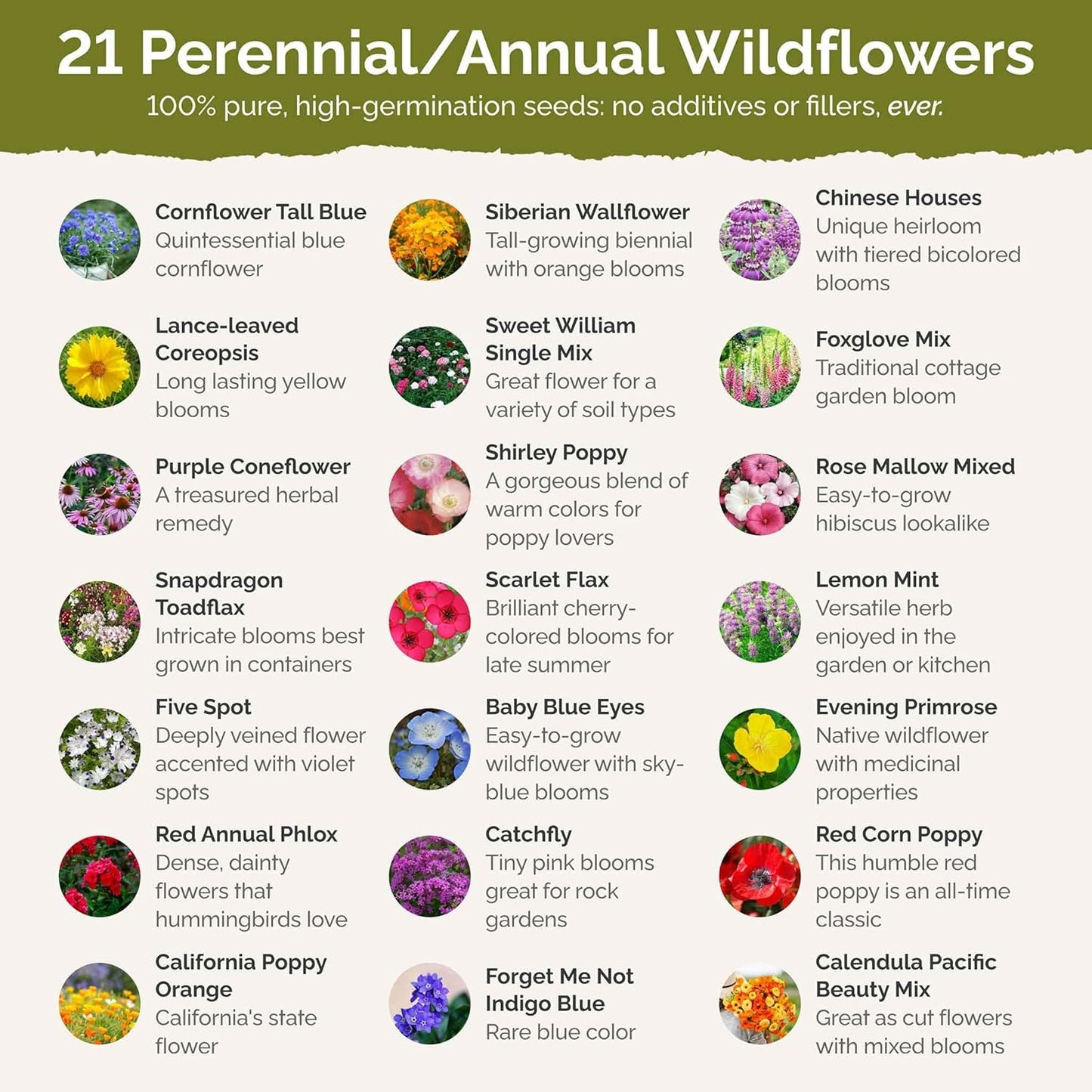 Eden Brothers Partial Shade Wildflower Mixed Seeds for Planting, 5 lb, 2,400,000+ Seeds with Sweet William, Foxglove | Attracts Pollinators, Plant in Spring or Fall, Zones 3, 4, 5, 6, 7, 8, 9, 10