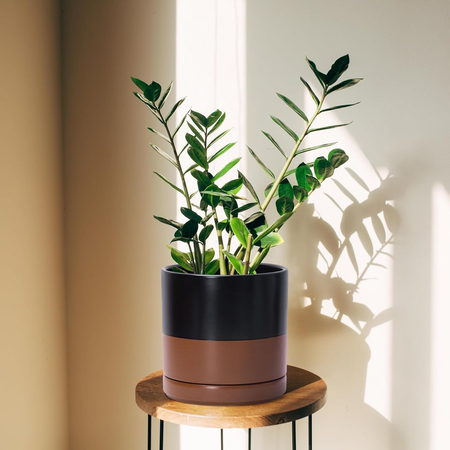 D'vine Dev 4 Inch & 6 Inch & 8 Inch, Set of 3 Round Ceramic Planter Pot with Drainage Hole and Saucer, Black/Speckled Tan, 94-T-M-7