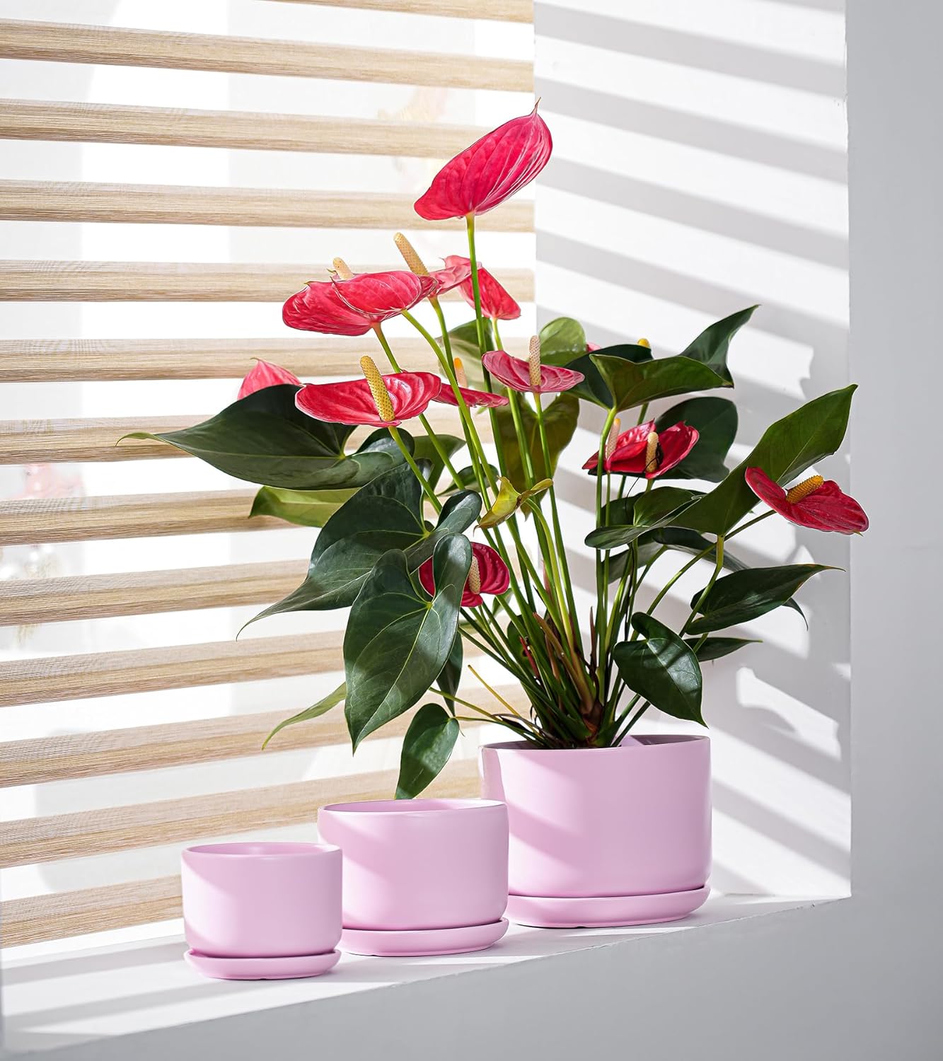 Ton Sin Plant Pots, 4.1+5.1+6.5 inch, Set of 3, Ceramic Planters with Drainage Hole and Saucer, Indoor Flower Pot with Hole Mesh Pad, Gifts for Mom(Matte Pink)