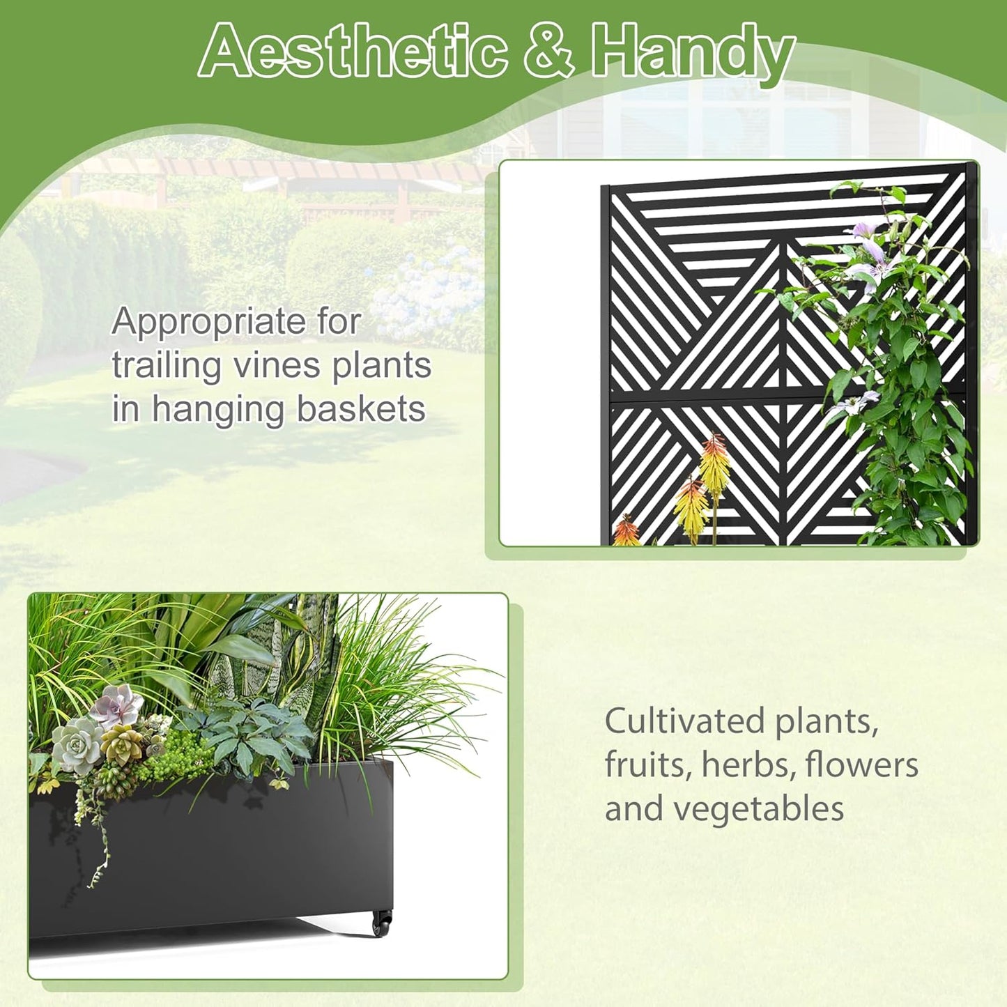 Raised Garden Bed with Trellis and Wheels,73"x35"x16" Metal Raised Garden Bed,Black Diamond Metal Planter with Climbing Trellis for Vines & Vegetables