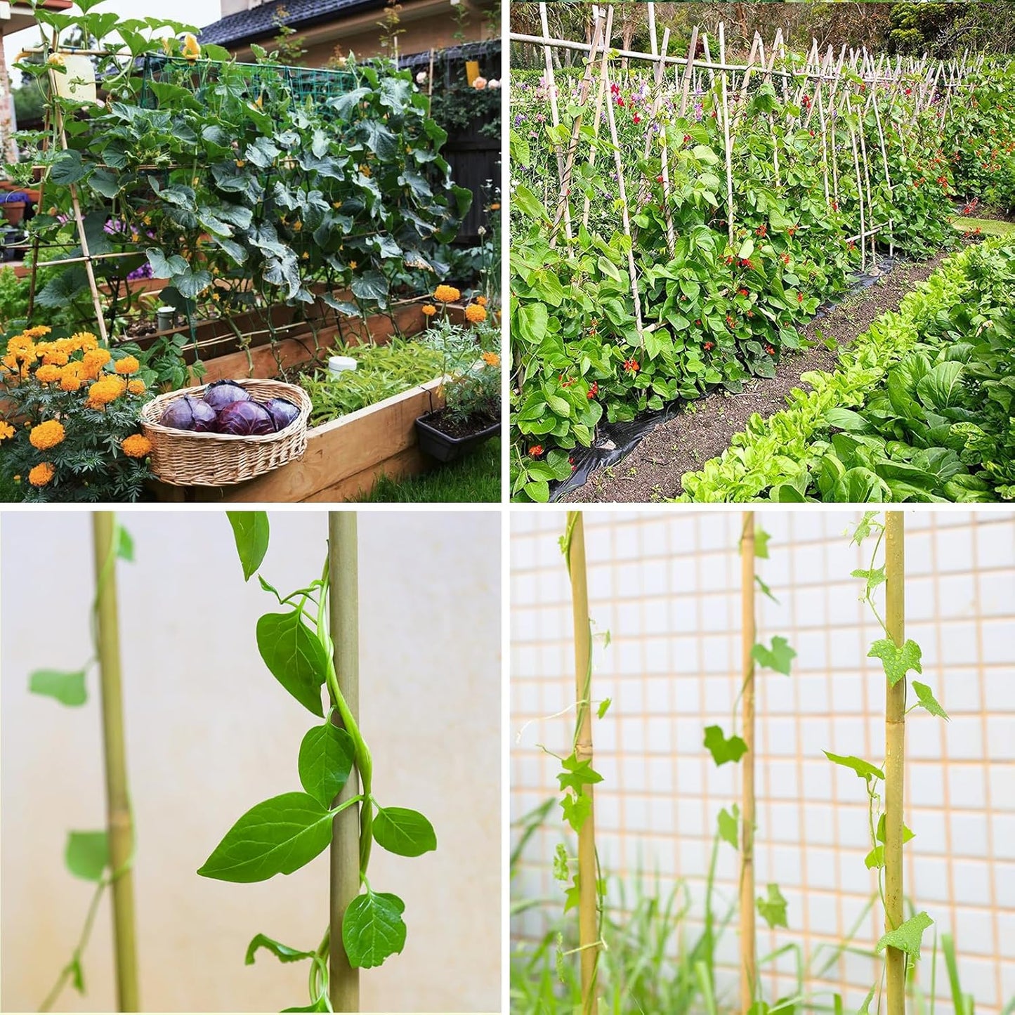 Natural Bamboo Poles, 4 Feet Bamboo Sticks for Plants, Wood Garden Stakes for Tomato, Bean, Flowers, Trees Potted and Climbing Plants, 25 Pack