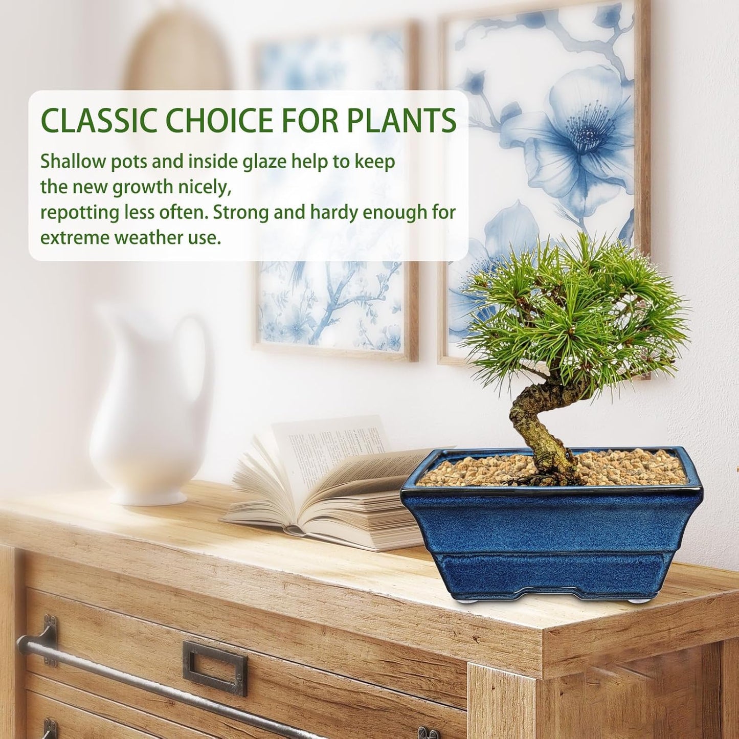 Set of 2 Large Blue Glazed Ceramic Bonsai Pots, 10" Rectangular Bonsai Planters Pots with Drainage Hole for Indoor/Outdoor Plants, Bonzie Tree Pot for Succulents, Cacti, Orchids, Herbs, Spider Plants