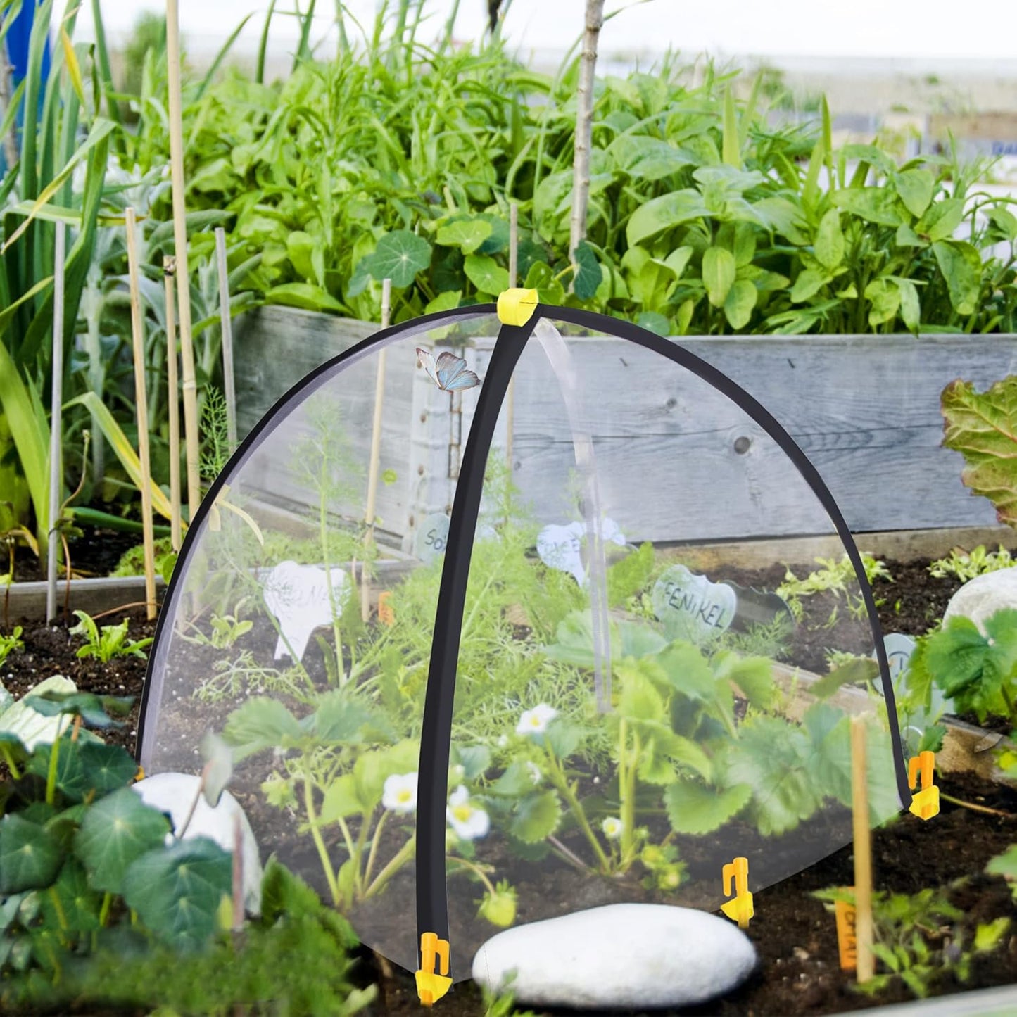 22 x 22 x 23 Inch Insect Barrier Plant Tent Cover-Bug Guard Cover with Stakes-Insect Bird Barrier Netting Mesh for Protect Vegetable Plants Fruits Flowers from Birds Animal Eating(S)