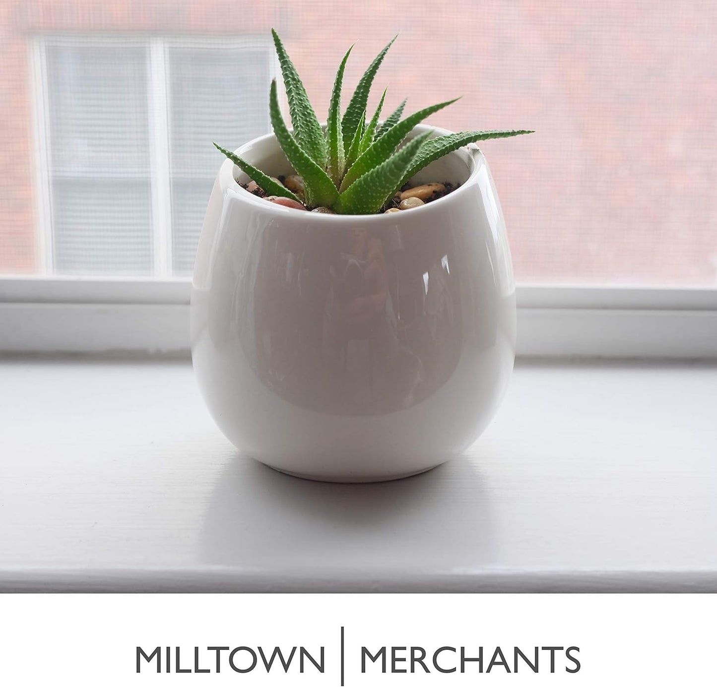 Milltown Merchants Succulent Wall Planter - Black Ceramic Wall Mounted Planter - Succulent Plant Pot - Hanging Vase for Living Wall (1 Pack/Modern/White)