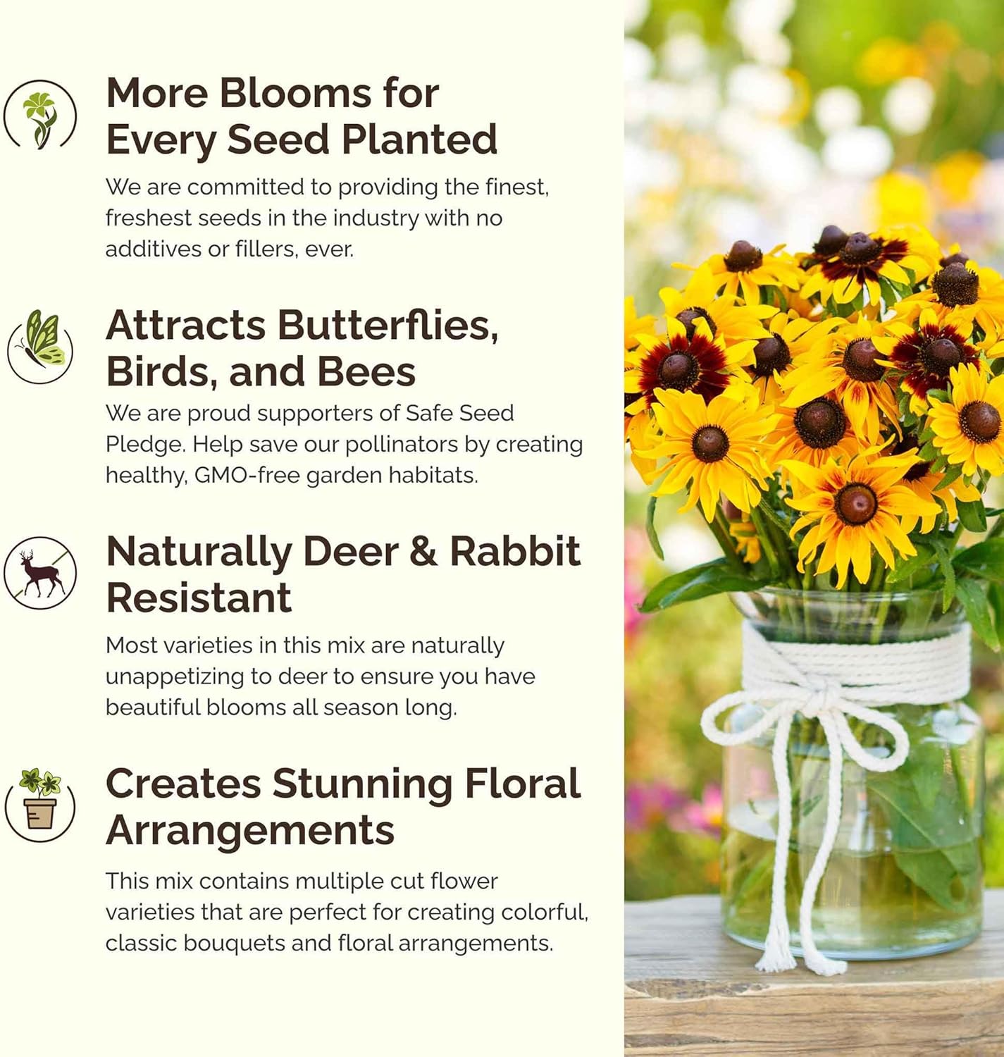 Eden Brothers Daisy Crazy Flower Mixed Seeds for Planting, 1 lb, 480,000+ Seeds with Creeping, Painted, Yellow Daisy | Attracts Pollinators, Plant in Spring or Fall, Zones 3, 4, 5, 6, 7, 8, 9, 10