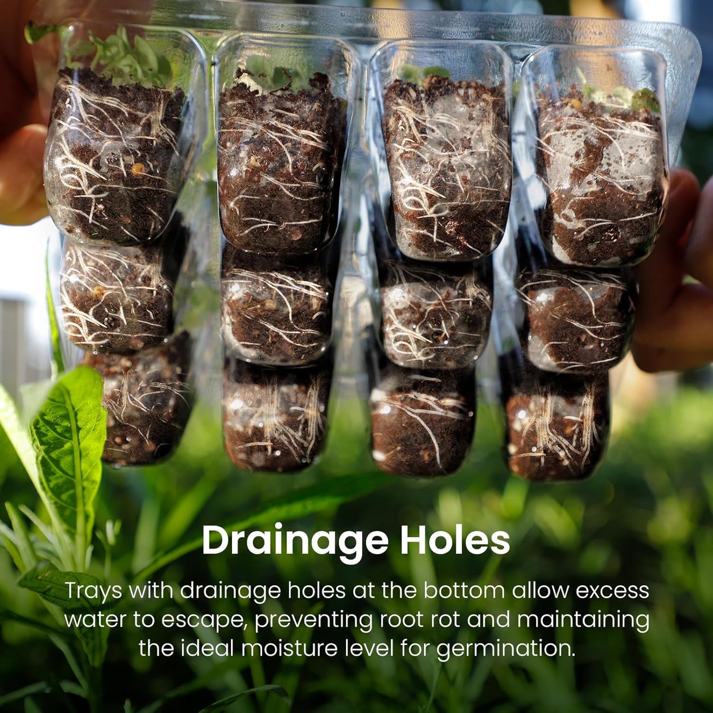 MIXC Seed Starter Kit with Grow Light, Elevated Seedling Tray Kit with Adjustable Humidity Dome and Clear Cell Tray, 12 Full Spectrum Led Beads for Seed Starting Greenhouse, 4 Pack, Transparent