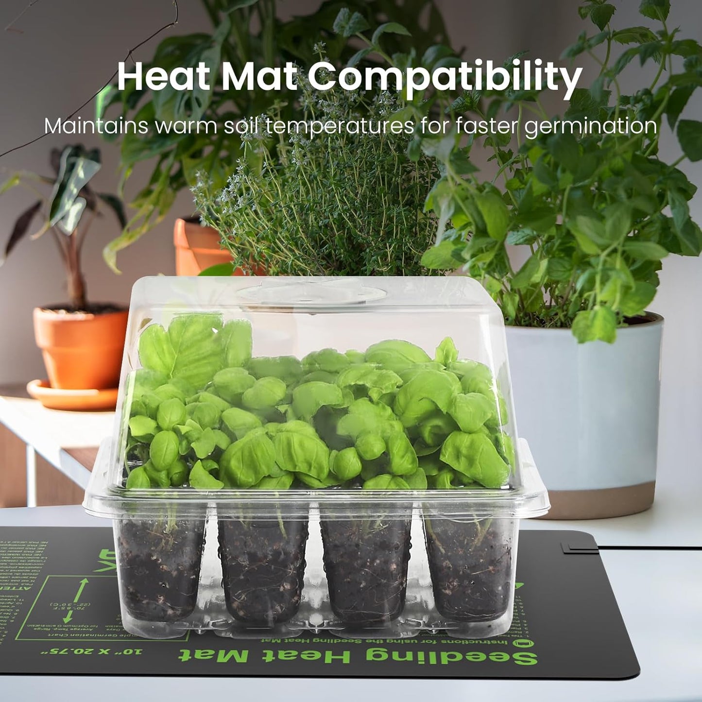 MIXC Seed Starter Kit with Grow Light, Elevated Seedling Tray Kit with Adjustable Humidity Dome and Clear Cell Tray, 12 Full Spectrum Led Beads for Seed Starting Greenhouse, 6 Pack, Transparent