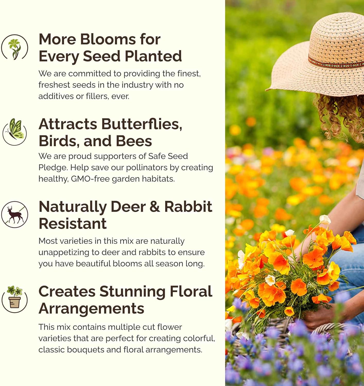 Eden Brothers Poppy Power Flower Mixed Seeds for Planting, 1/4 lb, 120,000+ Seeds with Red Corn, Iceland, California Poppy, Attracts Pollinators, Plant in Spring or Fall, Zones 3, 4, 5, 6, 7, 8, 9, 10