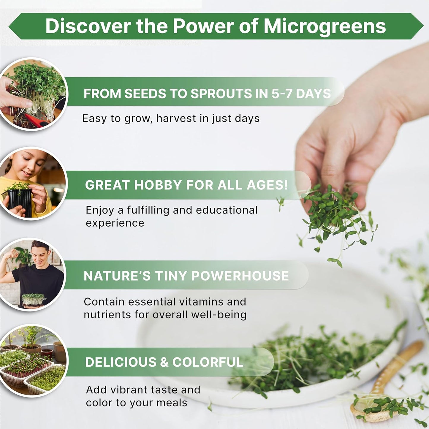 Organo Republic Broccoli Sprouting & Microgreens Seeds - 65,000 Non-GMO Heirloom Seeds, Sprouts in Bulk 8oz Resealable Bag for Planting & Growing in Soil, Coconut Coir, Aeroponic & Hydroponic System