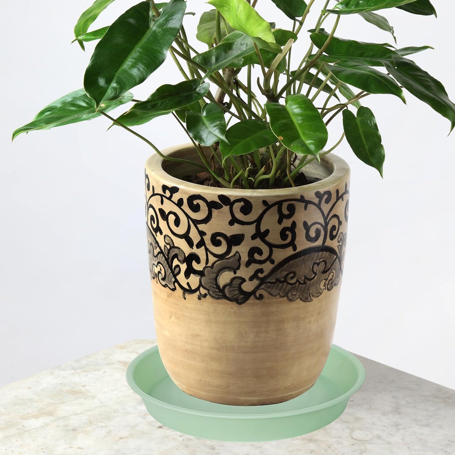 6 Pack of 8 inch Plant Saucer Blue, Plastic Plant Water Tray 8 inch Round, Flower Plant Saucers for Indoors, Dlant Dishes Saucer for Planter 7"/8" (8", Light Green)