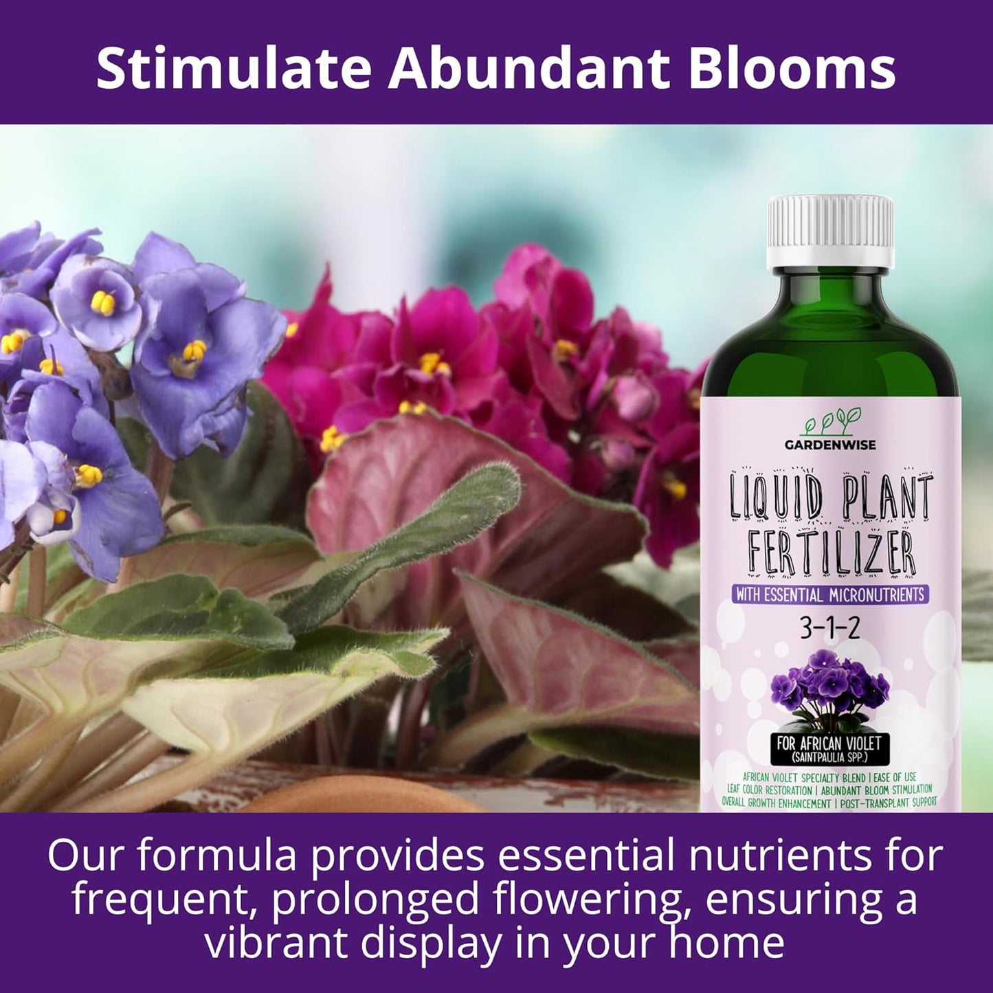 3-1-2 African Violet Fertilizer for Indoor Plants: Liquid Fertilizer with Essential Micronutrients Drops - Plant Food for African Violets (8 oz)