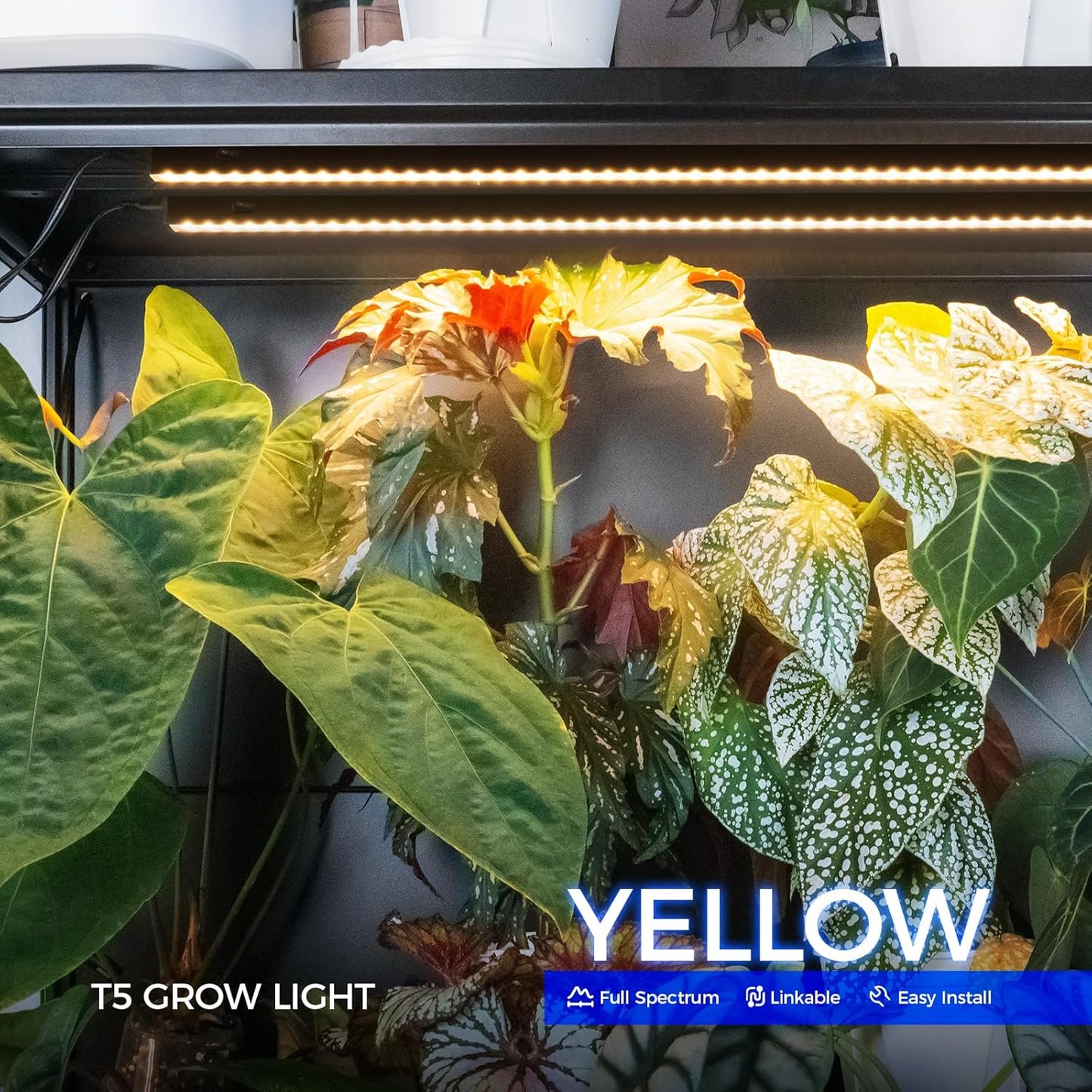 Barrina T5 Grow Lights for Indoor Plants, 3FT 128W (8 X 16W) Plant Grow Lights Indoor with Magnetic Bar, Linkable Plant Growing Lamps with Black Cover, Plug and Play, Yellow, 8 Packs