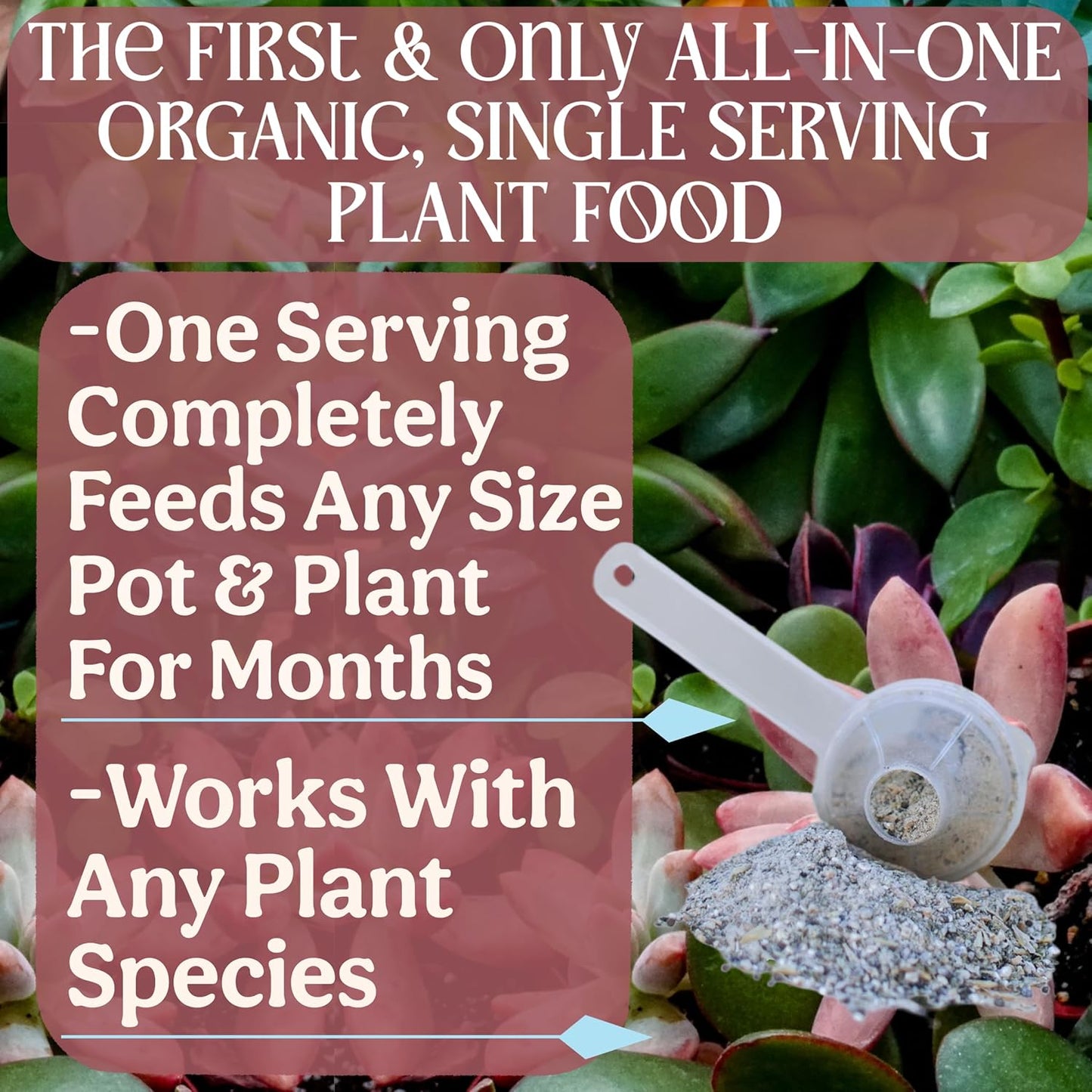 All-In-One Organic Succulent Fertilizer, Cactus Fertilizer, Succulent Plant Food, Bonsai & Cactus Food, 3 lb bag = 75 Single Servings, Fast & Slow Release feeds up to 300 plants for 8months