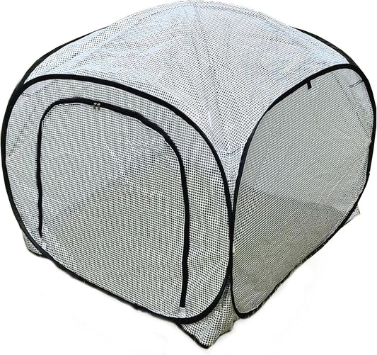 Dalen Pop-Up Mini Greenhouse - Easy Setup and Storage – 39”W x 39" L x 36" H - Special Venting Window to Ensure Breeze