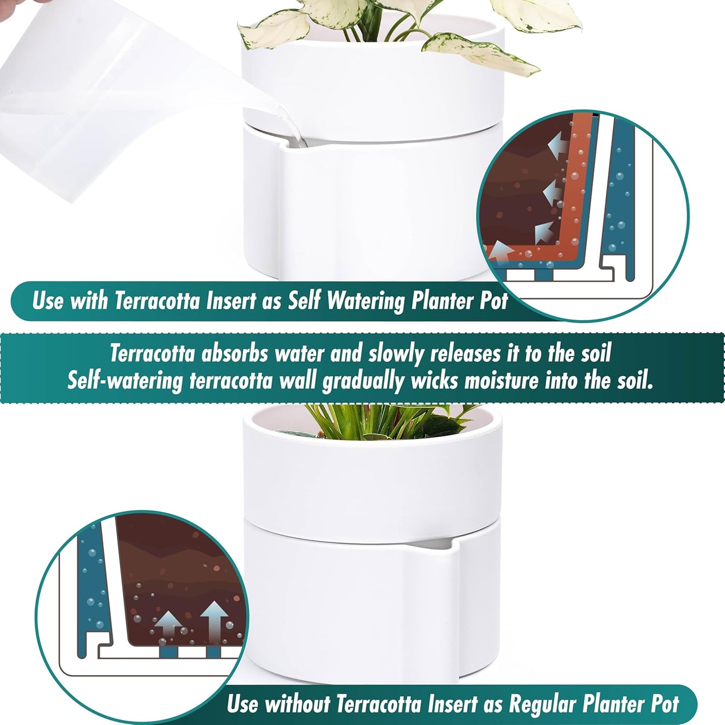 Phoenix Vine 8 Inch Self-Watering Planter Pot with Terracotta Insert, Deep Water Reservoir, and Ceramic-Alike BPA-Free Plastic Planter Pot for Plant, Modern Planter for Houseplants, White, 53-A-T-1