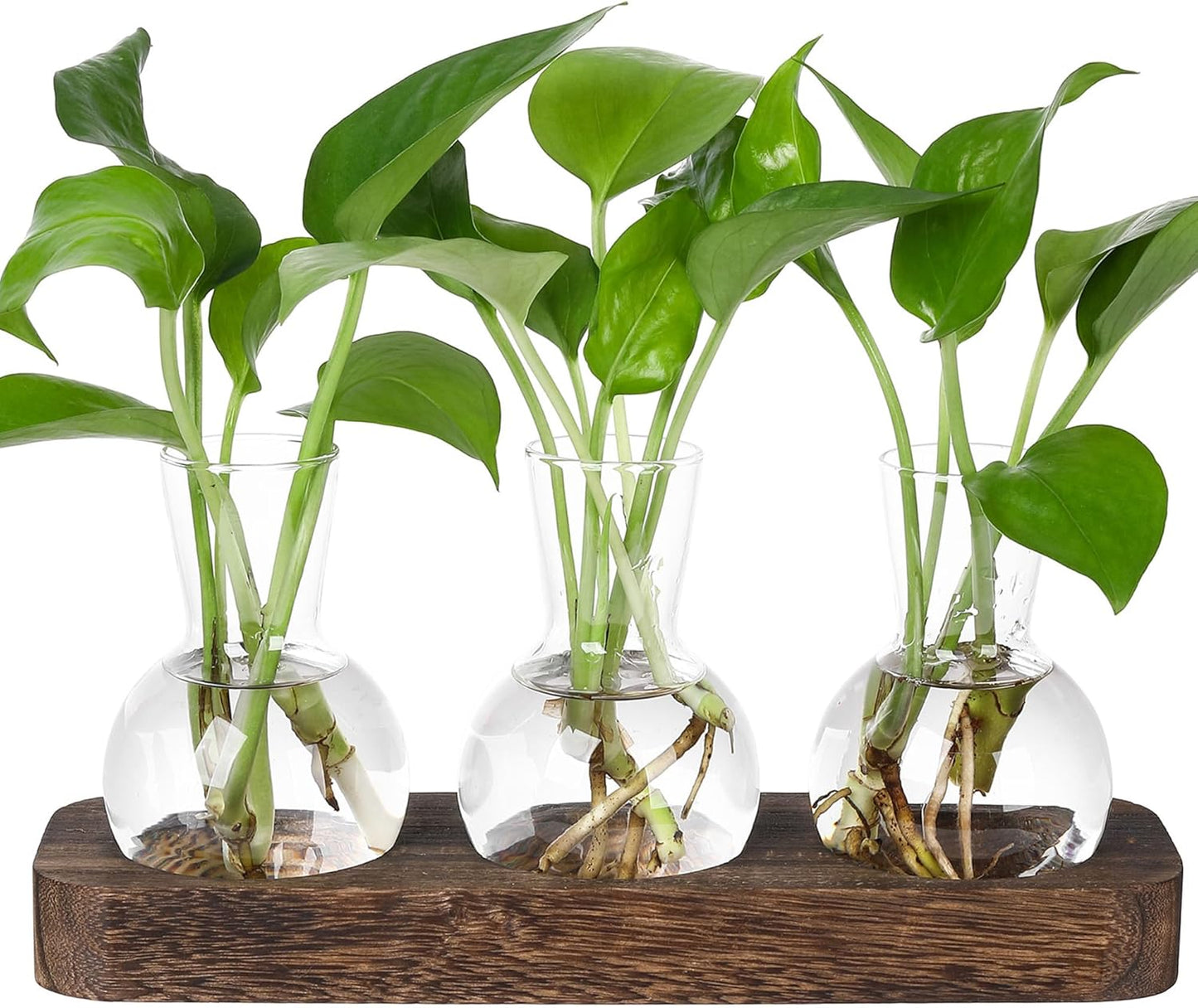 YIBOT Propagation Stations,Plant Propagation Vase,Desk Plant Terrarium with Retro Wooden Stand,Plant Lover Gifts for Women for Hydroponics Plants Home Garden Wedding Decor(3 Vase)