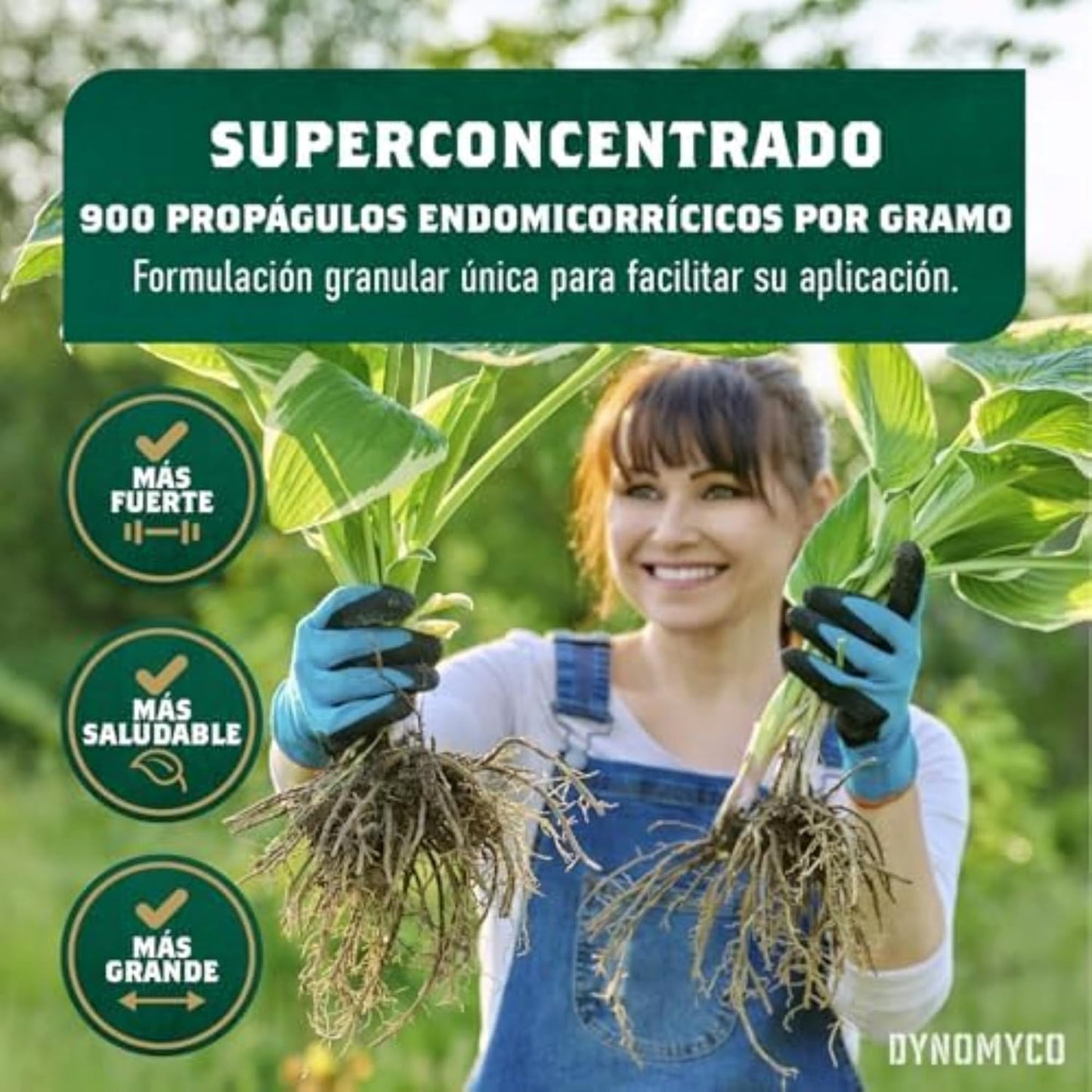 DYNOMYCO Granular Mycorrhizal Fungi Inoculant, 100g/3.5oz – Boosts Root Growth, Yields & Nutrient Uptake – 900 Propagules/g, Concentrated Granules, & OMRI Listed – Biofertilizer for Plant Growth