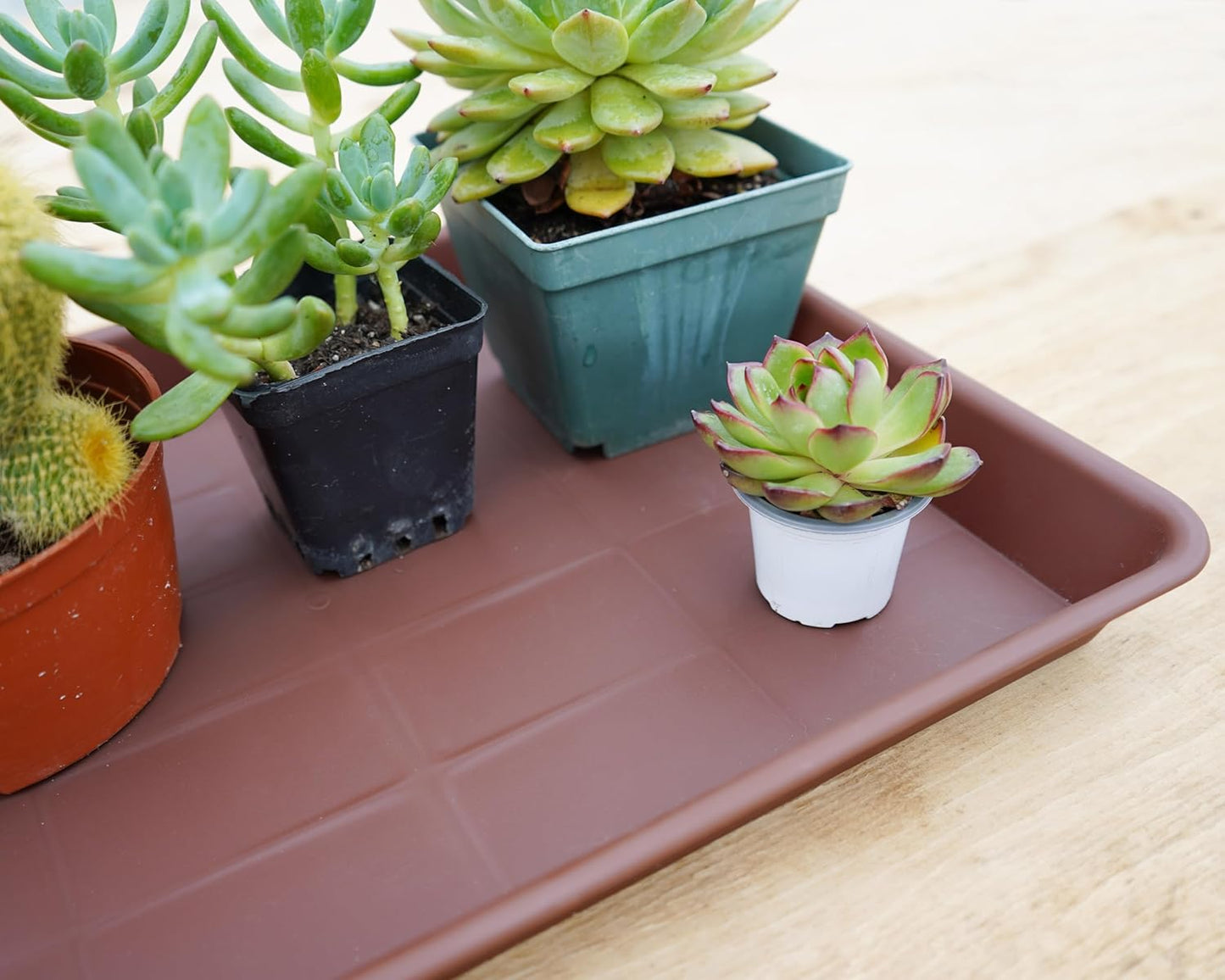 Rectangle Plant Tray, Plant Drip Tray, Plant Pot Saucers, Plant Germination Trays, Plant Saucers, 14.5'' x 11'' x 1.5'' (2 pack), Chocolate