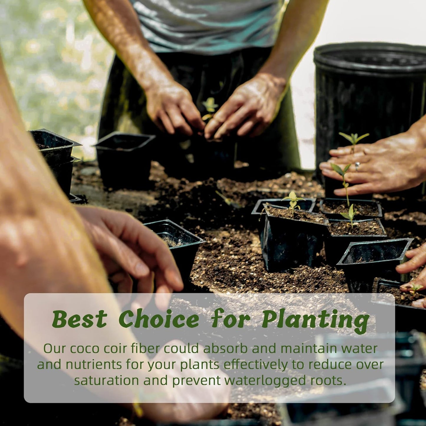 Coco Coir Brick for Plants, 4 Packs 100% Natural Organic Compressed Coconut Coir Fiber with Low EC & PH Balance, High Nutrition Coconut Soil Coco Fiber for Planting, Herbs