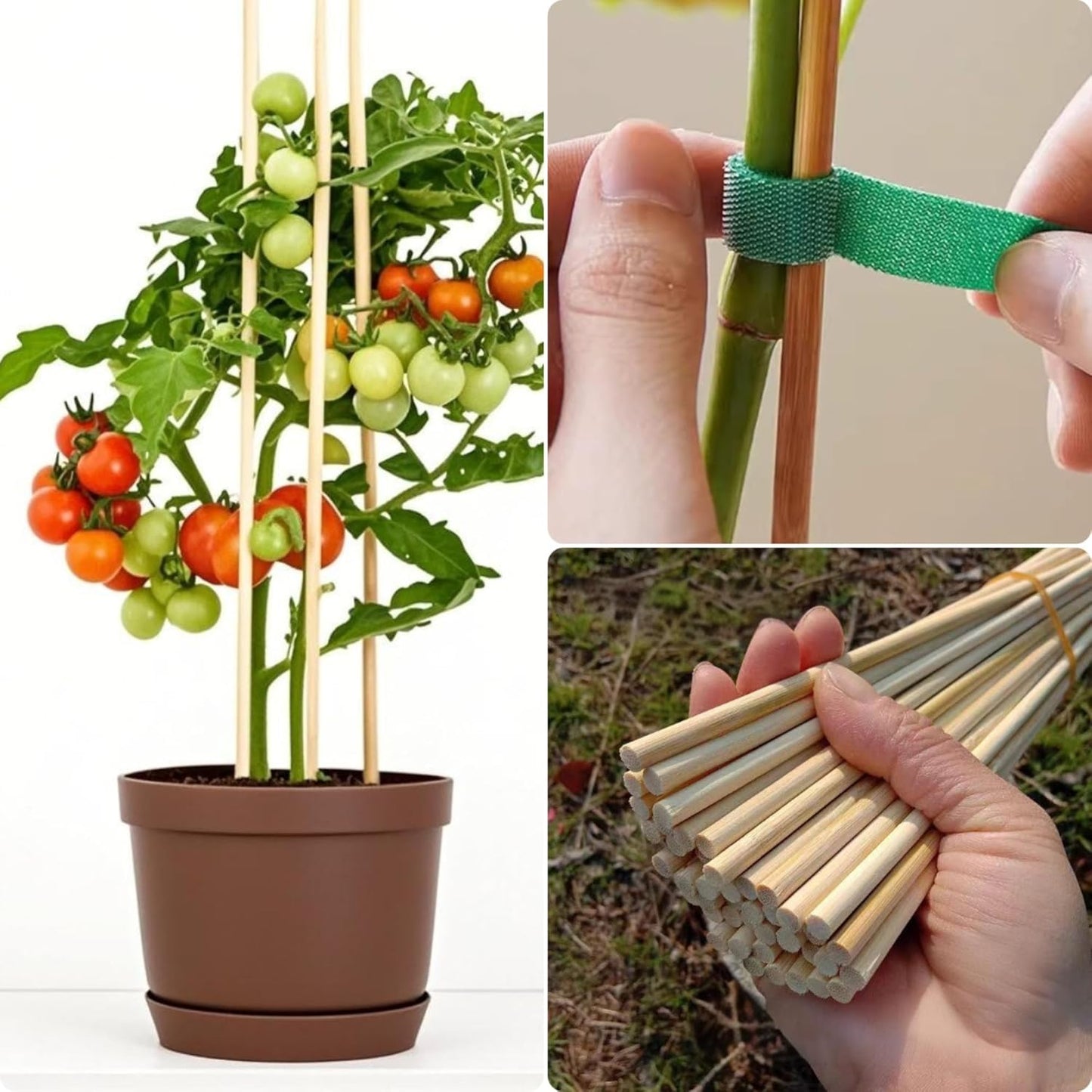 125 PCS 2.5FT Bamboo Plant Stakes 6.3mm Thick – 30-Inch Bamboo Sticks for Plants, Tomatoes, Beans, Climbing Plants – Smores Sticks & Marshmallow Sticks for Fire Pit and Campfire – VESYMAN