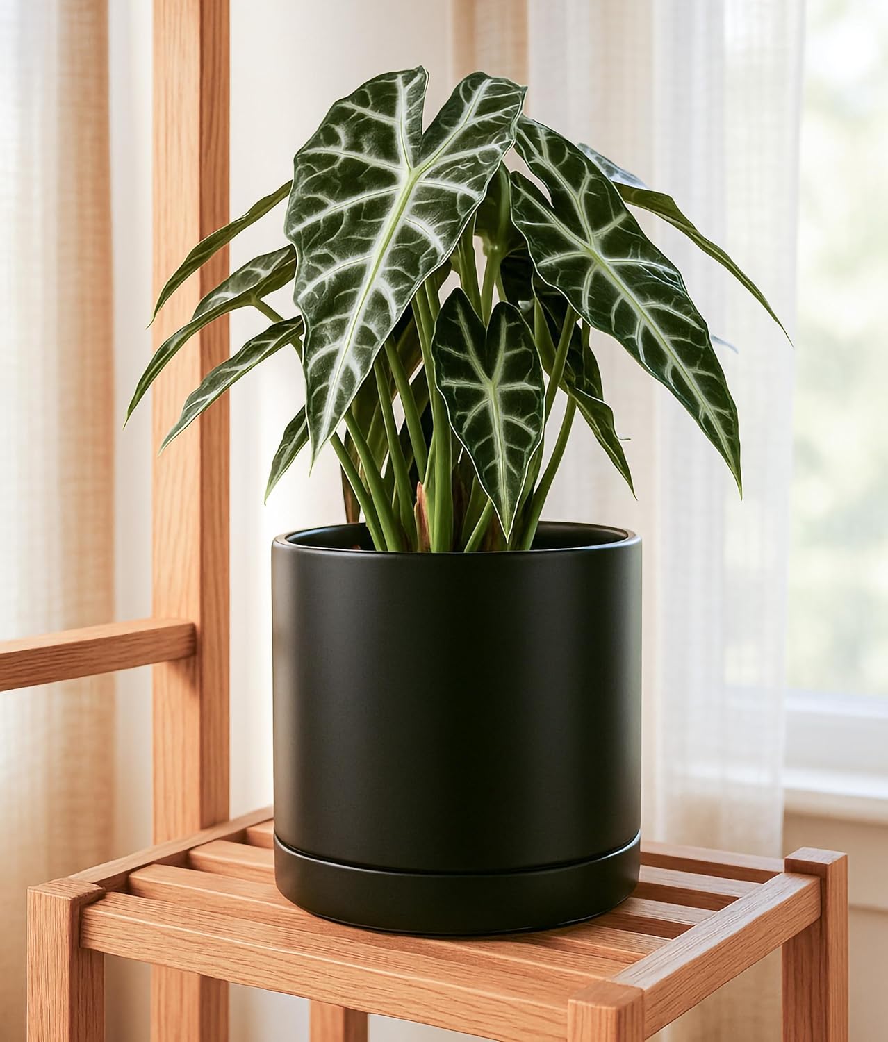 D'vine Dev 8 Inch & 10 Inch Ceramic Planter Pot for Plants with Drainage Hole and Saucer, Large Plant Pots Set, Black, 94-G-L-2