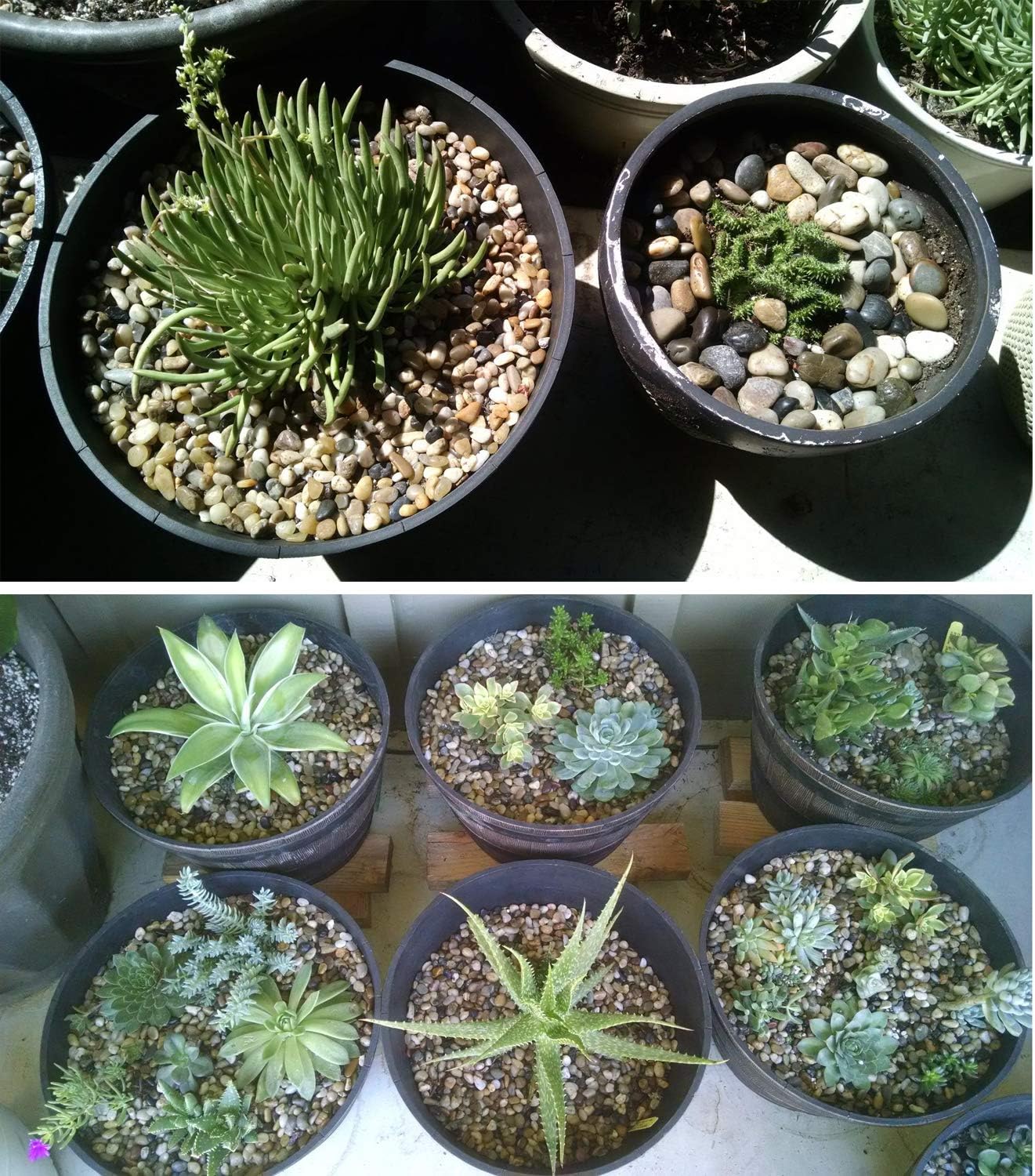 Voulosimi River Rock Stones, Natural Decorative Polished Mixed Pebbles Gravel,Outdoor Decorative Stones for Plant Aquariums, Landscaping, Vase Fillers (7 LB, Mixed Colors)