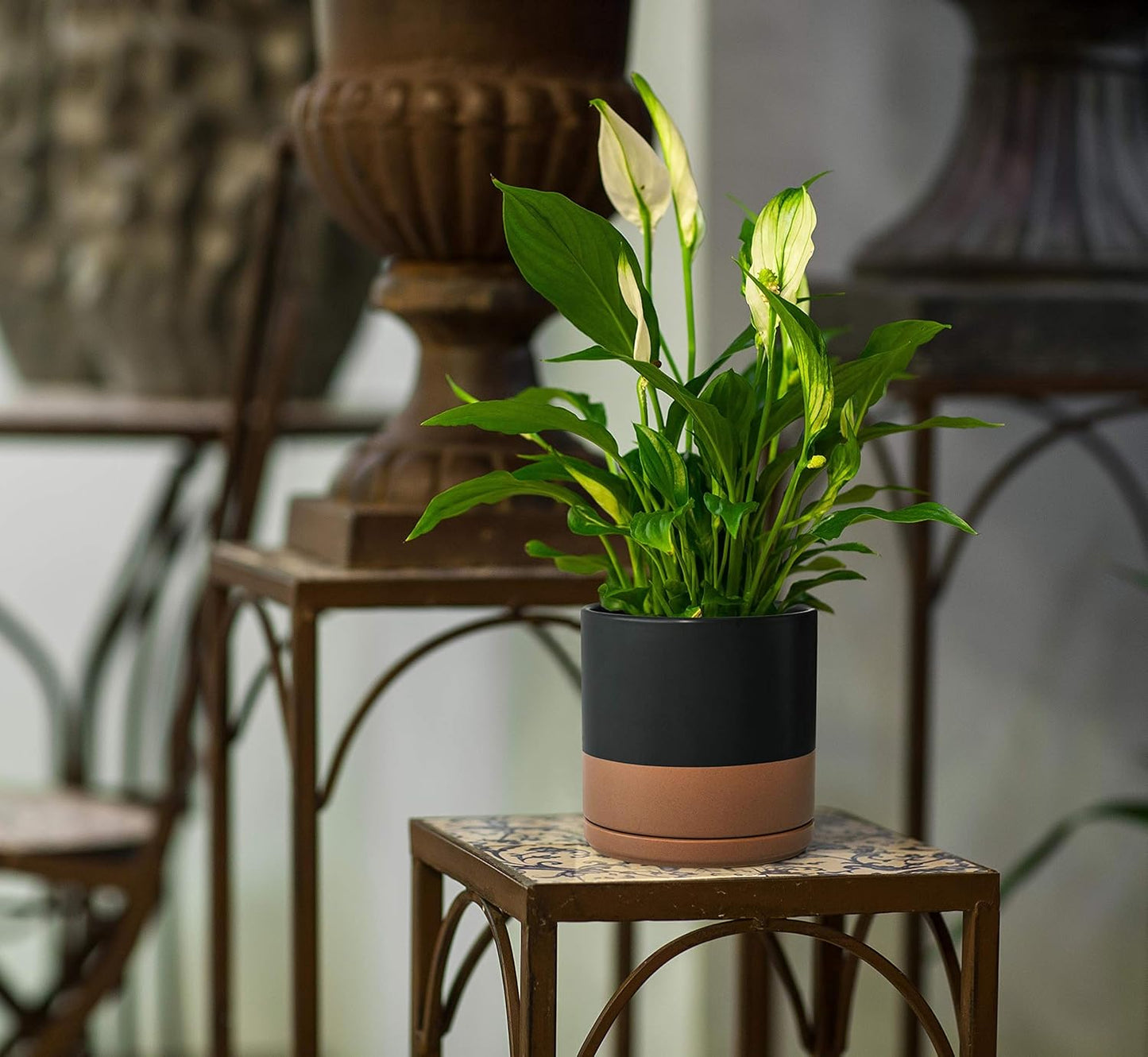 D'vine Dev 8 Inch & 10 Inch Ceramic Planter Pot for Plants with Drainage Hole and Saucer, Large Plant Pots Set, Black/Speckled Tan, 94-G-L-7