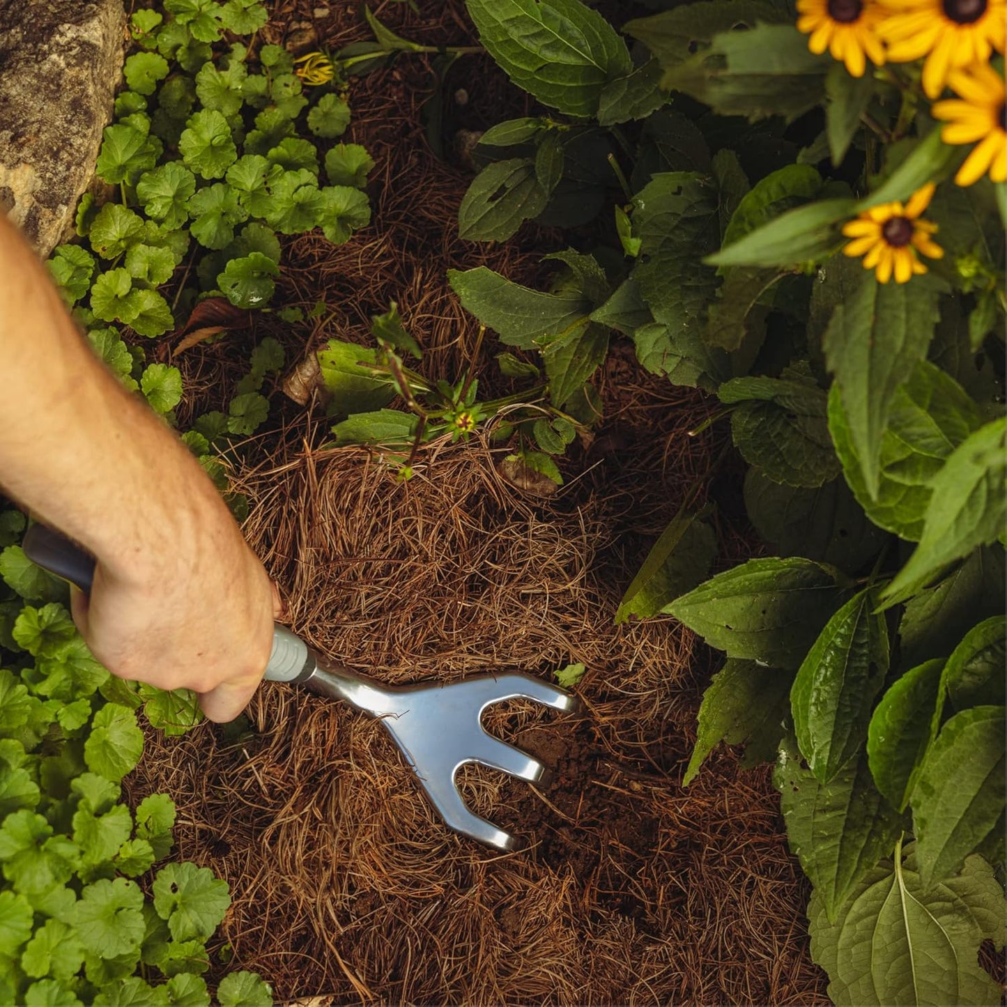 Woodland Tools Heavy Duty Hand Cultivator, 3-Prong Garden Claw Tiller Tool with Anodized Aluminum Head and Soft Ergonomic Grip, Manual Soil Cultivator for Weeding, Digging, and Breaking Up Dirt