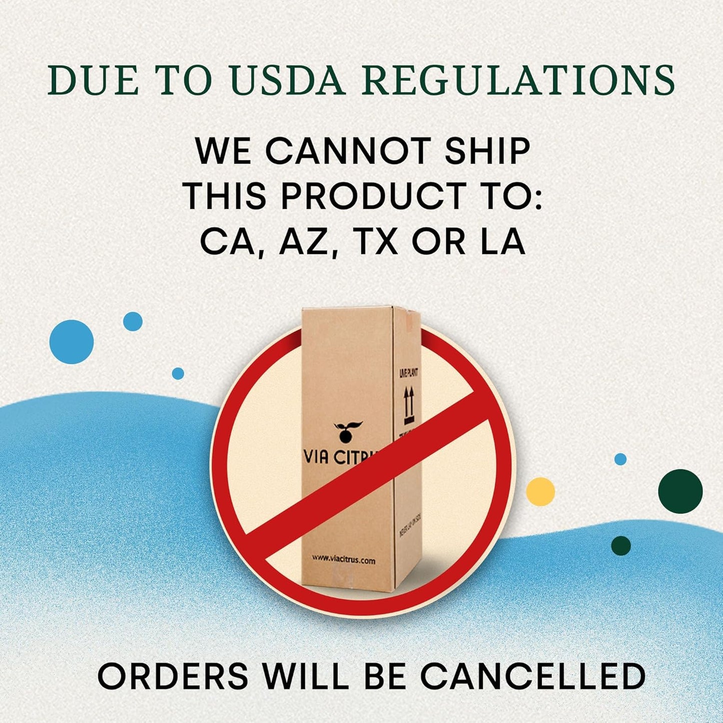 Yuzu Citrus Fruit Trees Live Plants 14-18" Tall - Outdoor Planting & Indoor Fruit Trees Live Plants, No Shipping to CA, AZ,TX,LA - Yuzu Tree Plant, Wild Mandarin Orange Tree Variety by Via Citrus