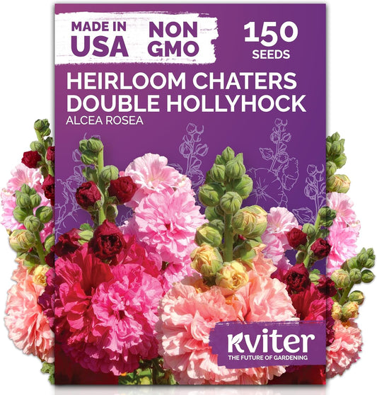 KVITER 150 Chaters Hollyhock Seeds for Planting (Alcea rosea) - Heirloom | Tall Blooms | Pollinator Magnet - Double Hollyhocks Flower Seeds to Plant Outside in Garden, Cottage Borders, Containers