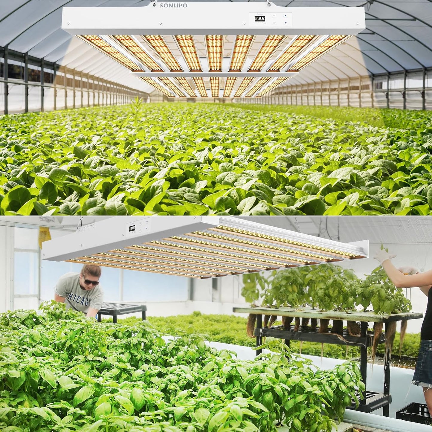 2024 New SPF4000 PRO 400W LED Grow Light 5x5ft Coverage with Veg & Bloom Dimmer Timer Full Spectrum Grow Lamps for Indoor Plants Seeding Flowering LED Plant Light Fixture