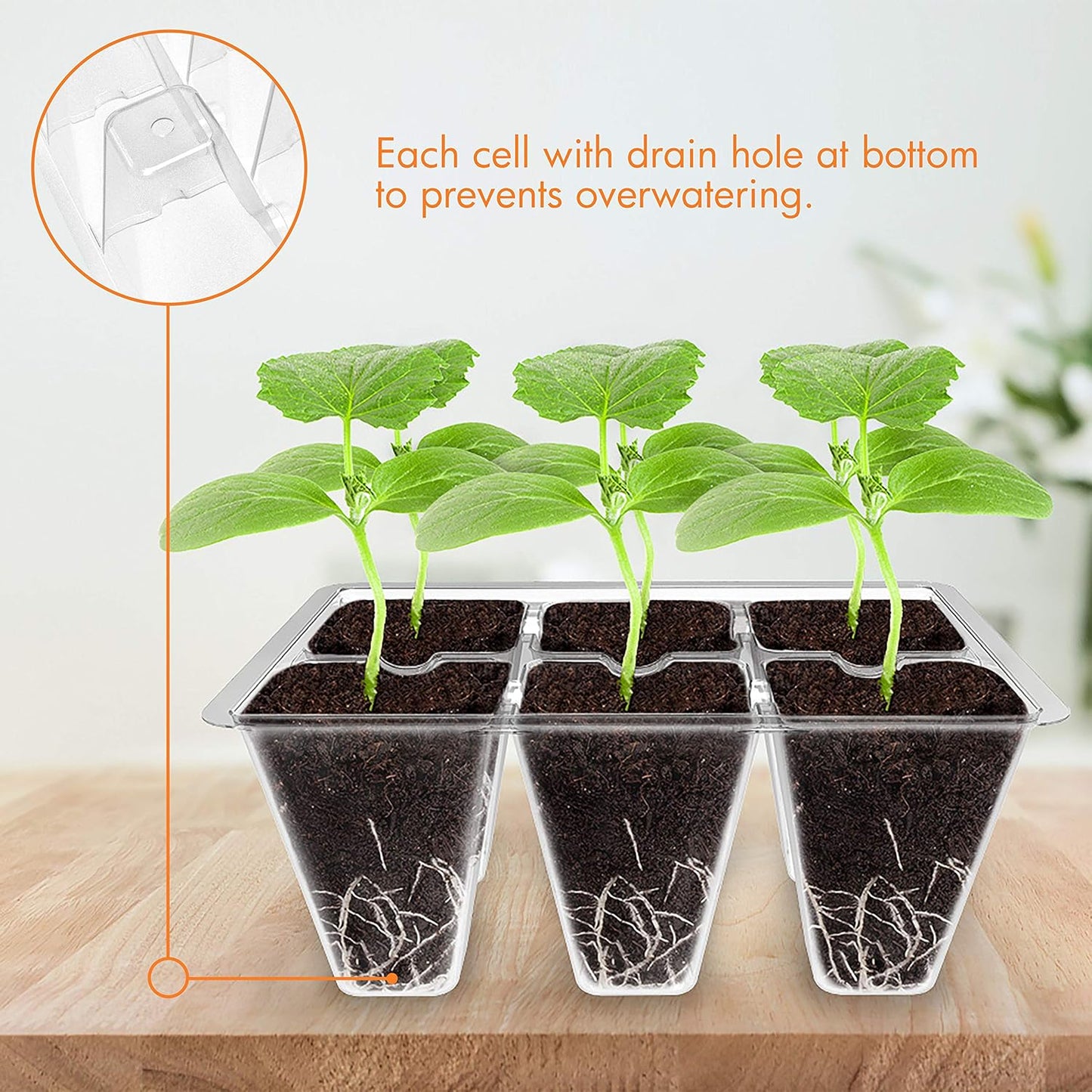 Gardzen 120 Pack 6-Cell Seed Starting Tray for Seedlings, Plant Starter Trays with Drainage Holes for Seed Germination, 5.4x3.7 inches, Clear