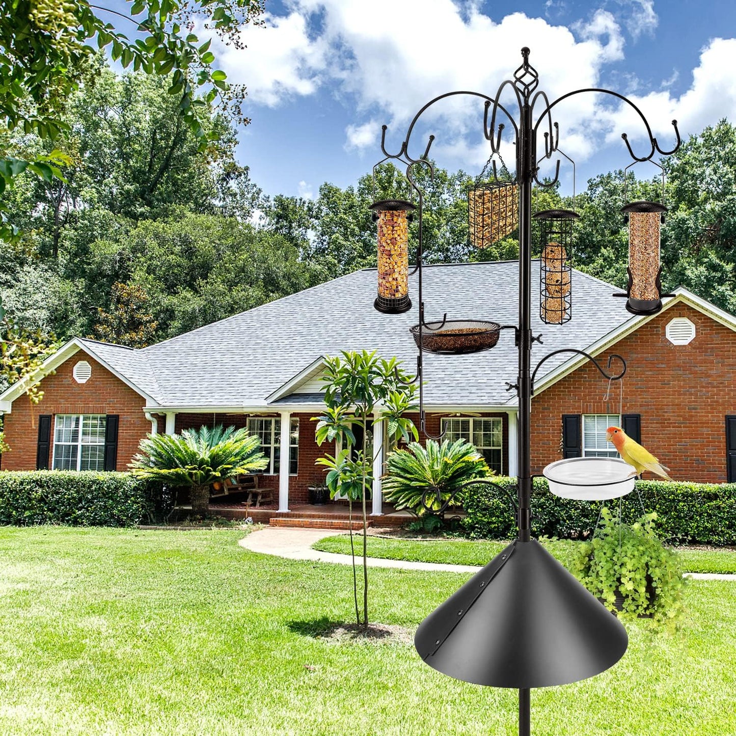 Deluxe Bird Feeding Station Kit Bird Feeder Pole with Squirrel Baffle, Suet Cage, Bath Tray for Planter Hanger - Wildlife-Friendly Design