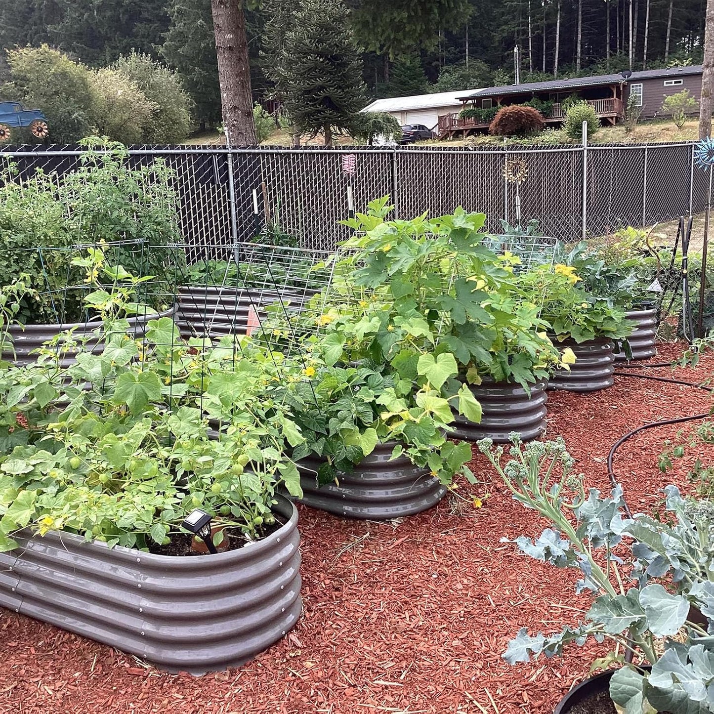 A ANLEOLIFE 6X2X1.5 ft Galvanized Raised Garden Beds Outdoor, Oval Round Metal Planter Box for Planting Vegetables Flowers Herb, Anti-Rust & Easy-Setup, Quartz Grey