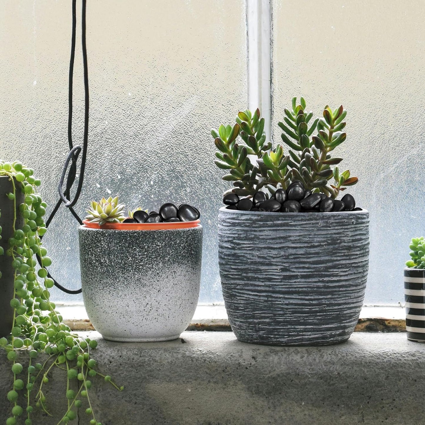 10lbs Black River Rocks, 2-3 Inch Large Pebbles for Indoor Plants, Natural High Polished Decorative Stones for Vase Filler Fish Tank