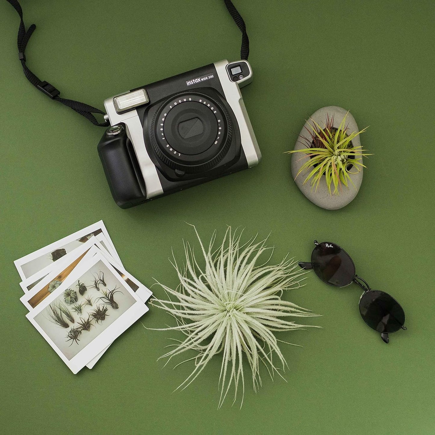 Air Plant Shop 5 Pack Rare Tectorum Ecuador Air Plants - Unique, Bright White, Nursery-Grown Tillandsia House Plant with Fuzzy Trichomes for Terrariums, Driftwood & Living Walls - Wholesale