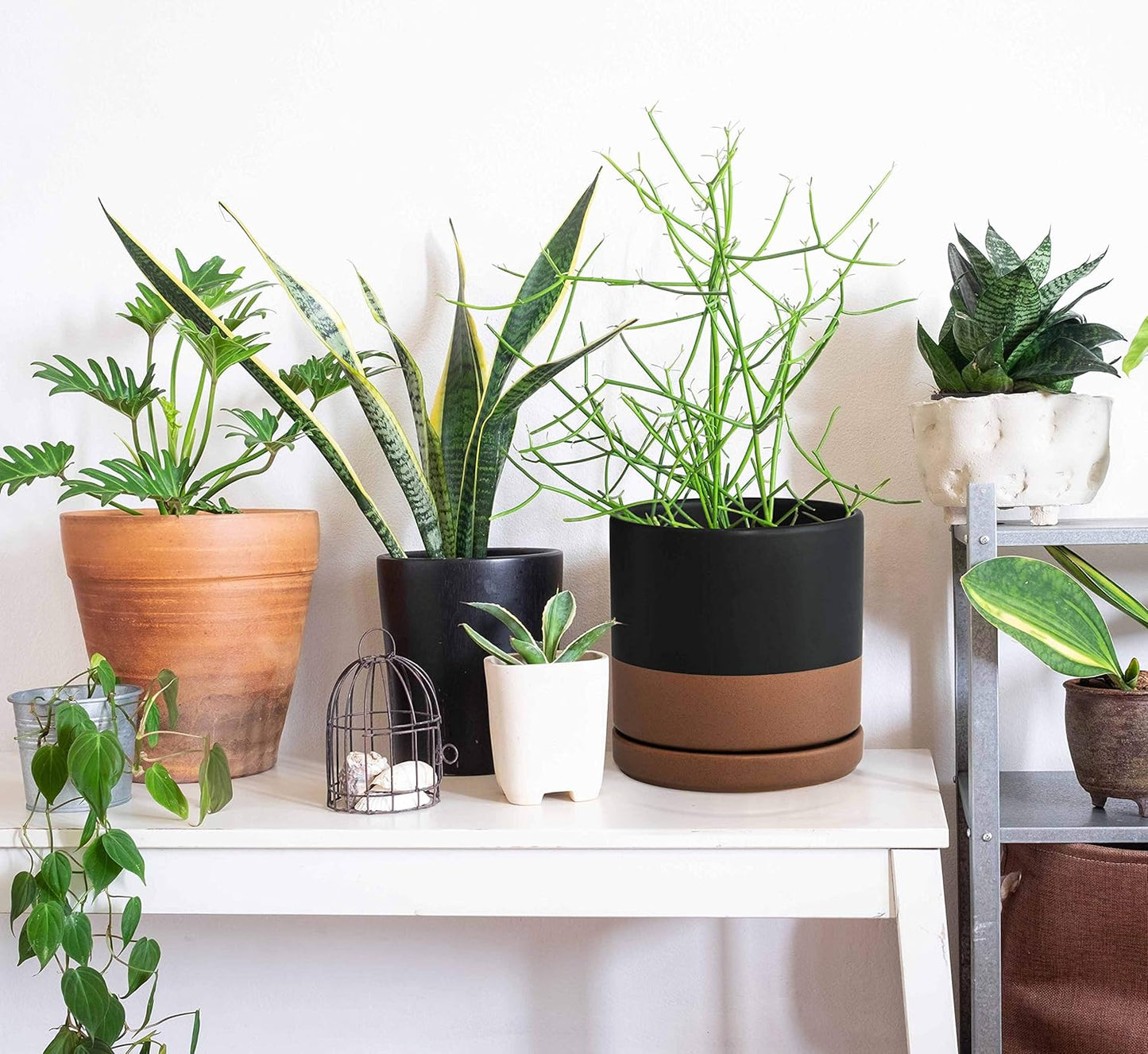 D'vine Dev 6 Inch Ceramic Planter Pot with Drainage Hole and Saucer, Indoor Cylinder Round Planter Pot, Black/Speckled Tan, 94-O-C-7