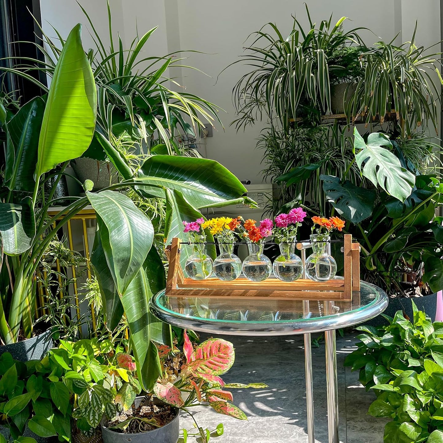 Kingbuy Plant Propagation Station with 5 Bulb Vases Retro Wooden Stand Desktop Glass Planter Terrarium for Hydroponics Plants Home Office Décor