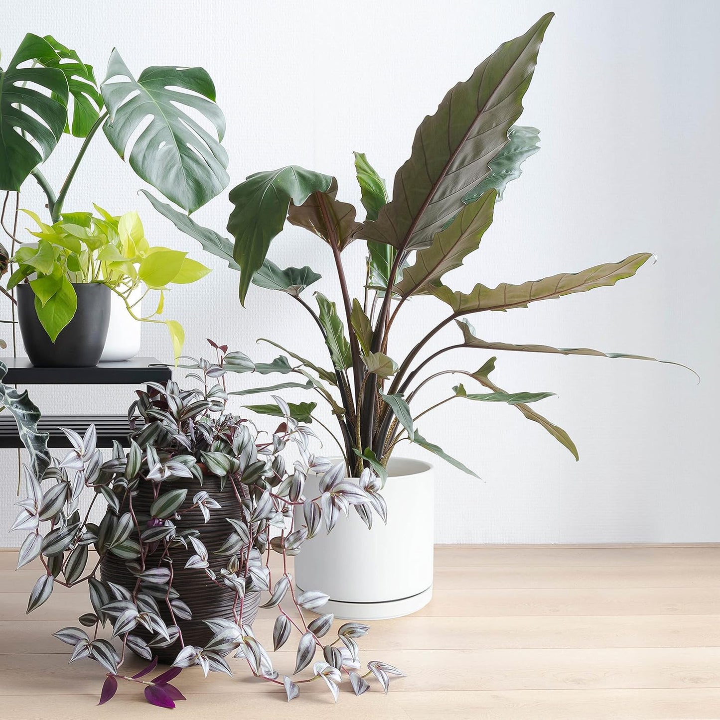 D'vine Dev 6 Inch & 8 Inch Ceramic Planter Pots for Plants with Drainage Hole and Saucer, Medium Plant Pots Set, White, 94-G-M-1