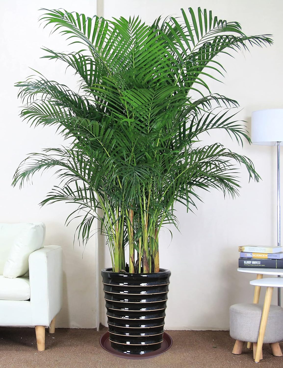 4 Pack of 14 inch Plant Saucer, Heavy Duty Round Plant Trays for Pots, Bird Bath Bowls, Plastic Plant Water Tray, Flower Plant Saucers for Indoors (14", Chocolate)